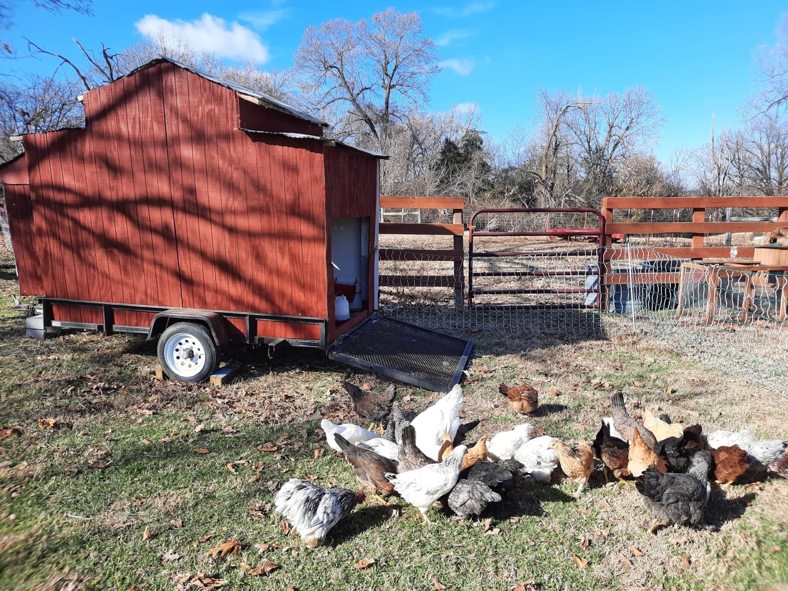 RentACoop Poultry Netting Electric Fence - 48