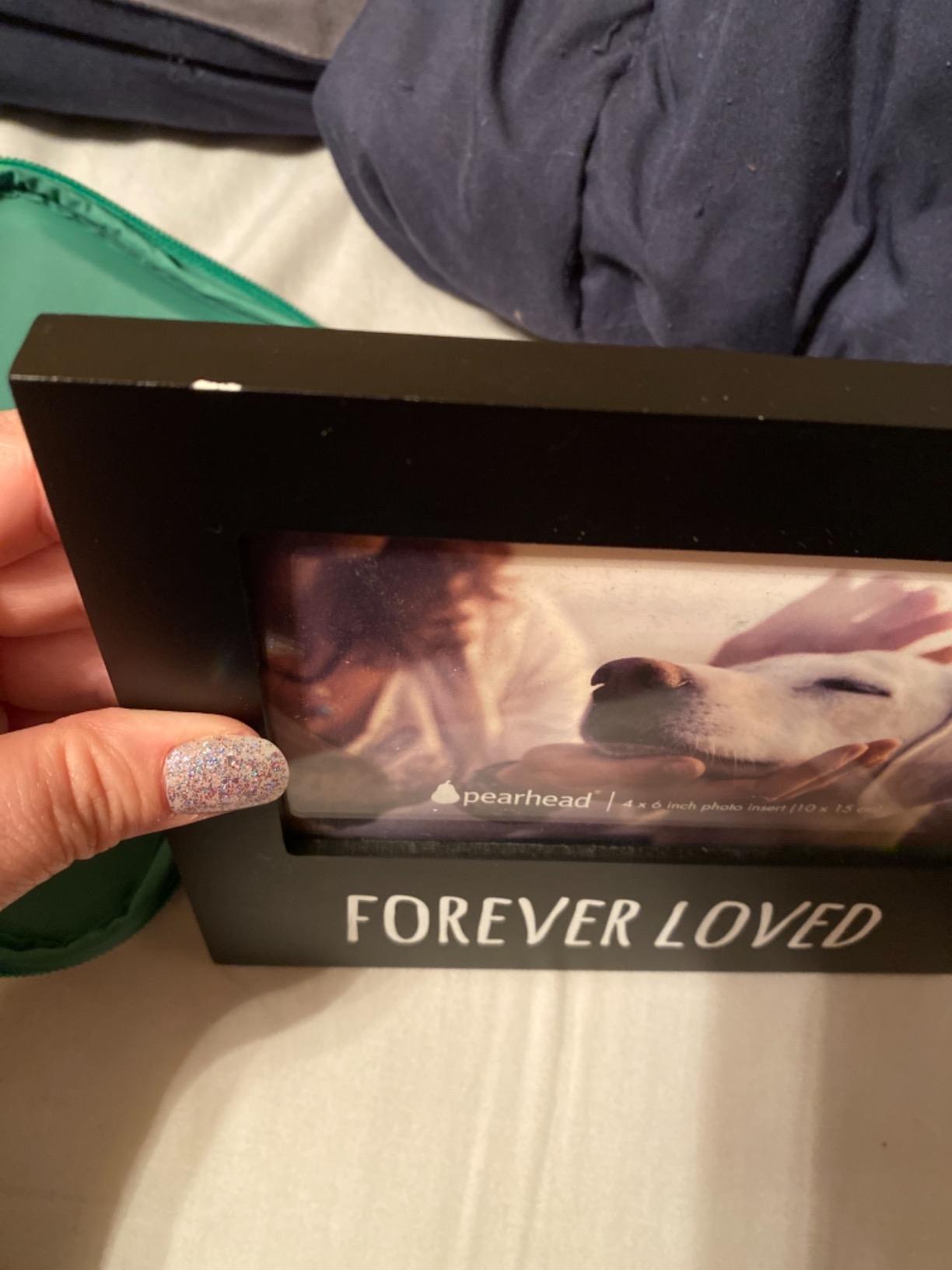 Pearhead Forever Loved Pet Keepsake Photo Frame, 4x6 Photo Insert, Black | Picture Frame for Pet Owners, Ideal Memorial Gift for Loss of Dog and Pet Remembrance, Dog or Cat Sympathy Gift customer photo 2