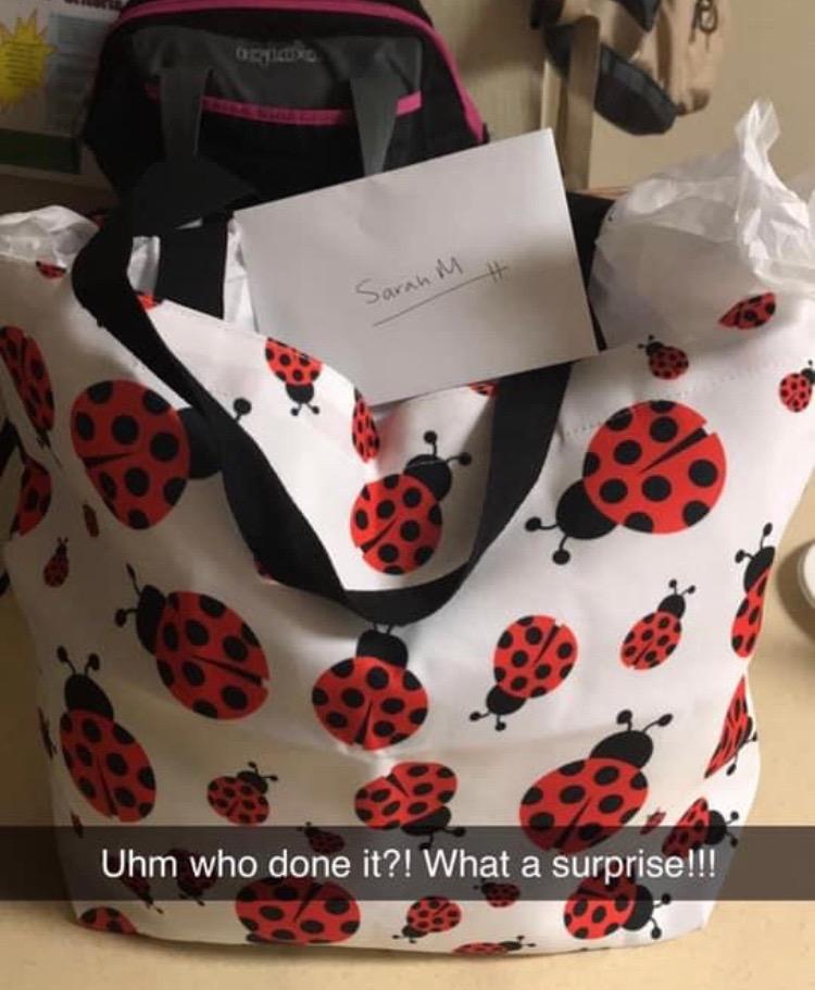 Chic Cute Flroal Ladybugs Pattern Woman's Large Canvas Long Handle Tote Bag customer photo 2