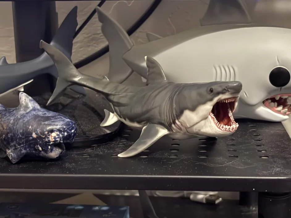PNSO Prehistoric Animal Models: Patton the Megalodon 6.2