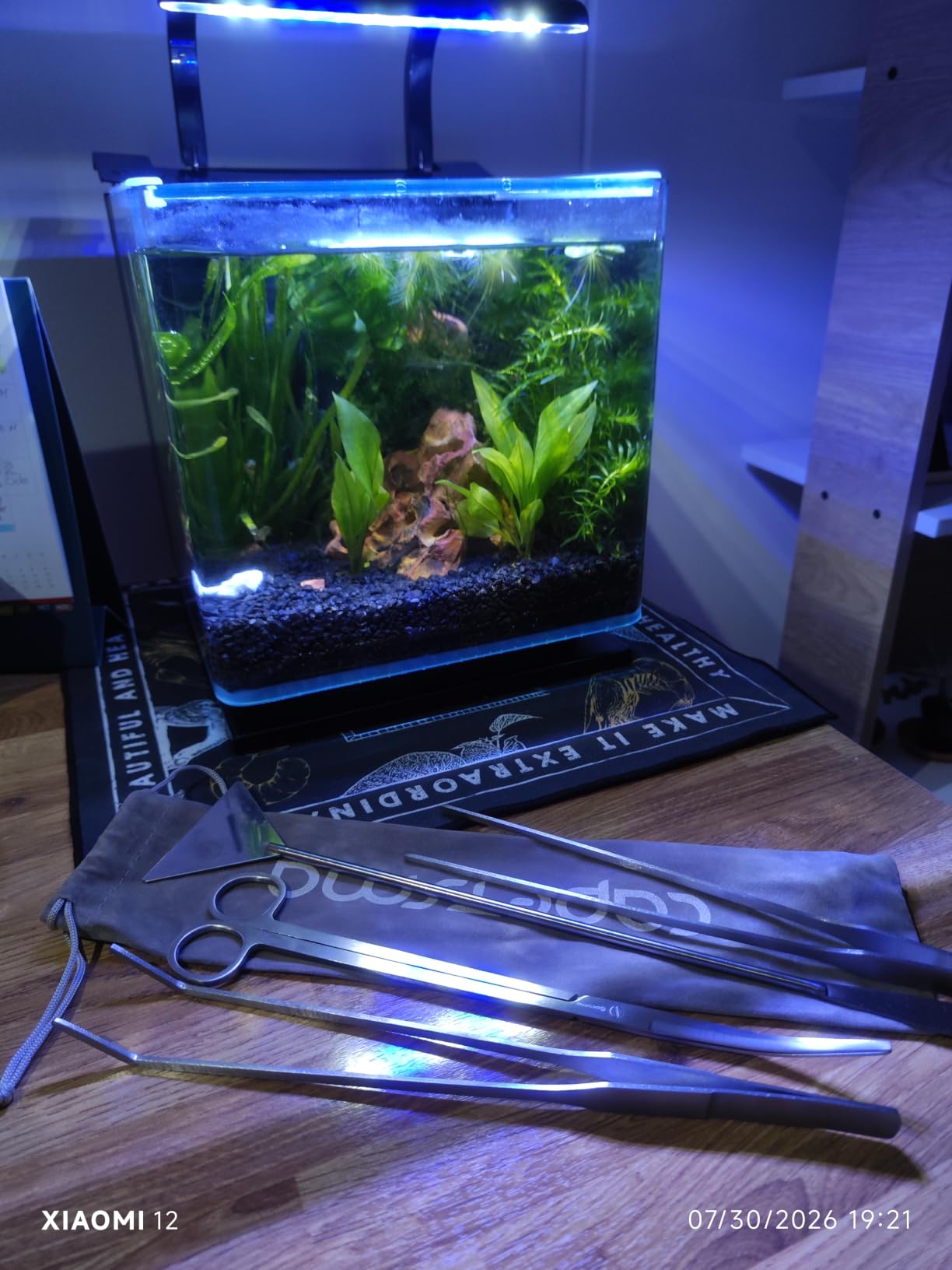 Capetsma Aquascape Long Stainless Steel Plant Tools Set - Aquarium Tweezers, Scissors, Spatula, Algae Scrapers - Fish Tank Cleaning Kit customer photo 2