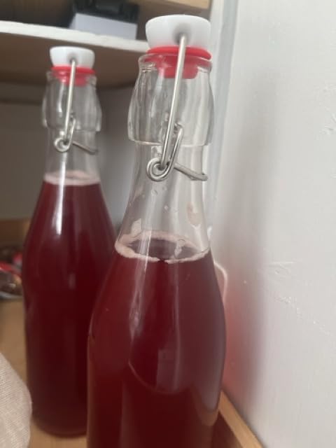 AYL Flip Top Glass Bottle [16 fl. oz./Pack of 6]- Swing Top Brewing Bottle with Stopper for Beverages, Oil, Vinegar, Kombucha, Beer, Water, Soda, Kefir - Airtight Lid & Leak Proof Cap - Clear customer photo 2