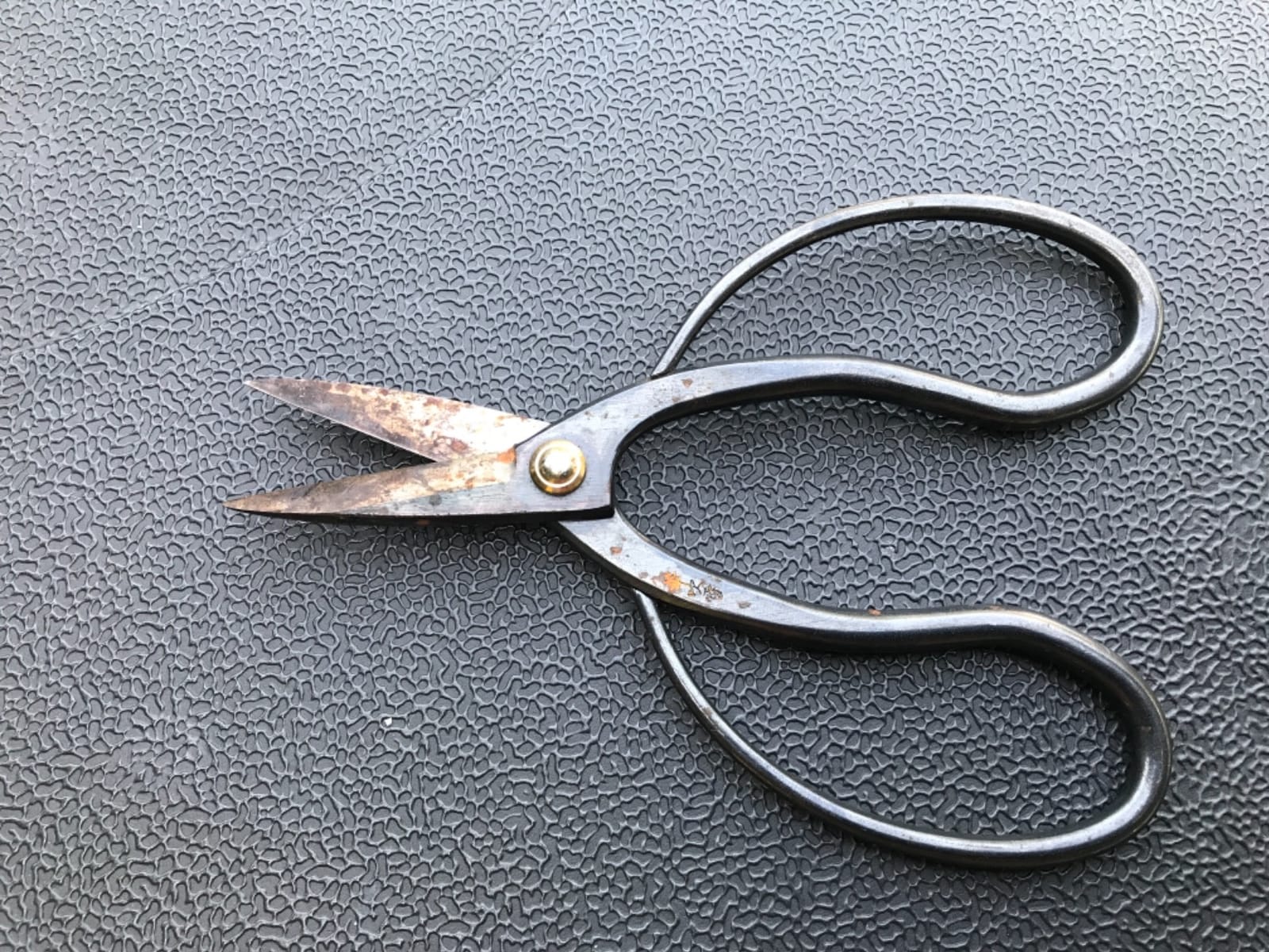 Hanafubuki Wazakura Bonsai Scissors Made in Japan 7inch(180mm), Japanese Bonsai Garden Tools, Hasami Pruning Shears - Traditional customer photo 1