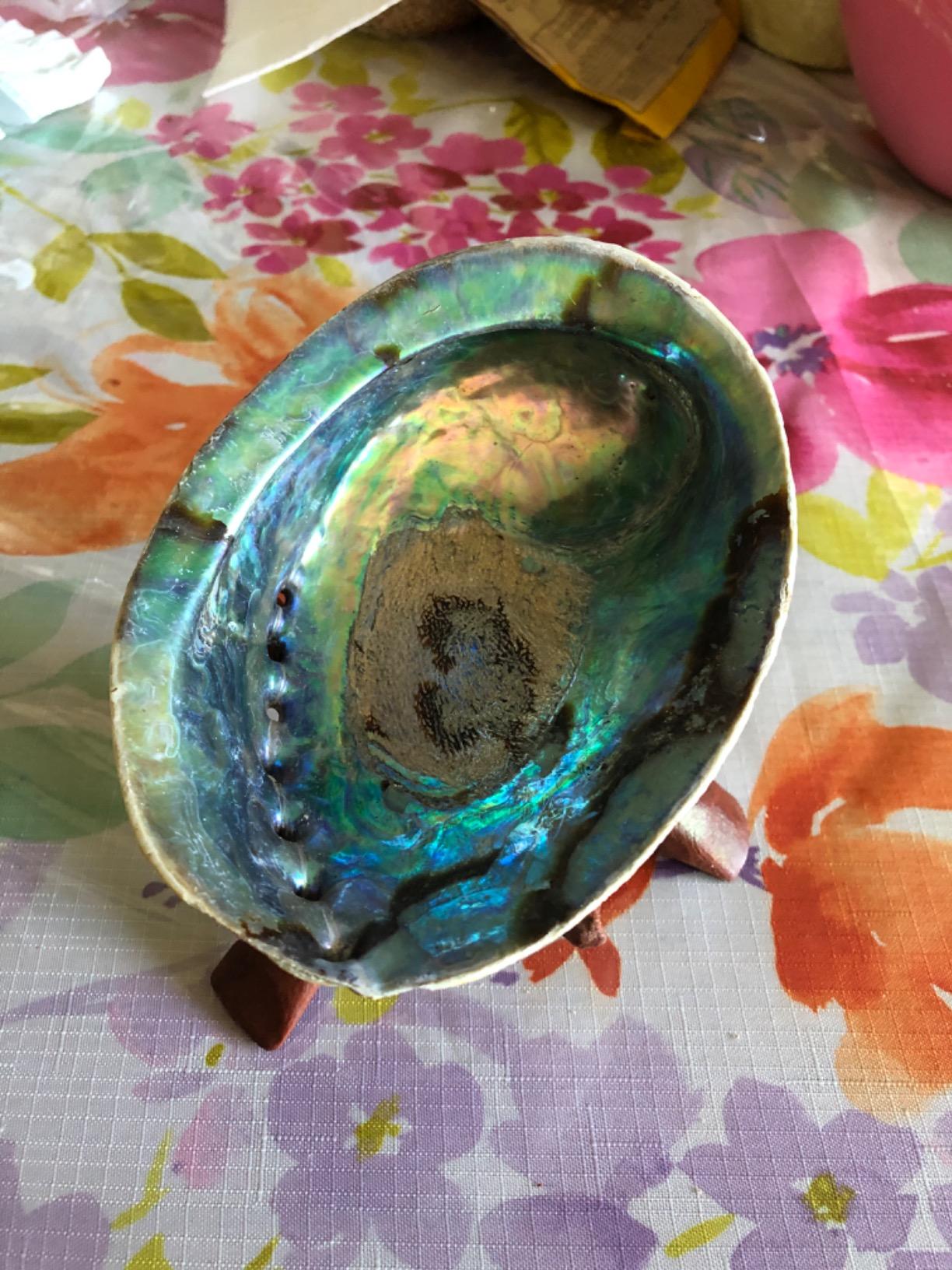 Ocean Shell Studios 5-6 inches Premium Natural Abalone (Pāua) Shell with Wooden Stand for Smudging, Cleansing Home, Meditation, Shell Crafts,Incense Holder, Home Décor, 100% Natural, Sustainable. customer photo 1