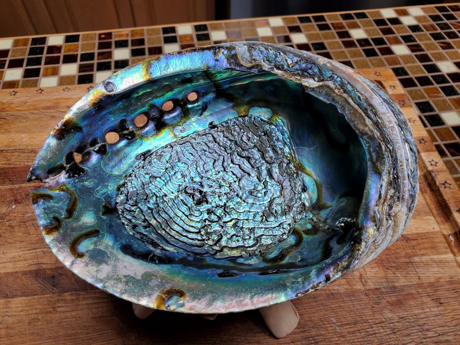 Abalone Shell Smudging Bowl Seashell Incense Burner, 5-6 Inches customer photo 2