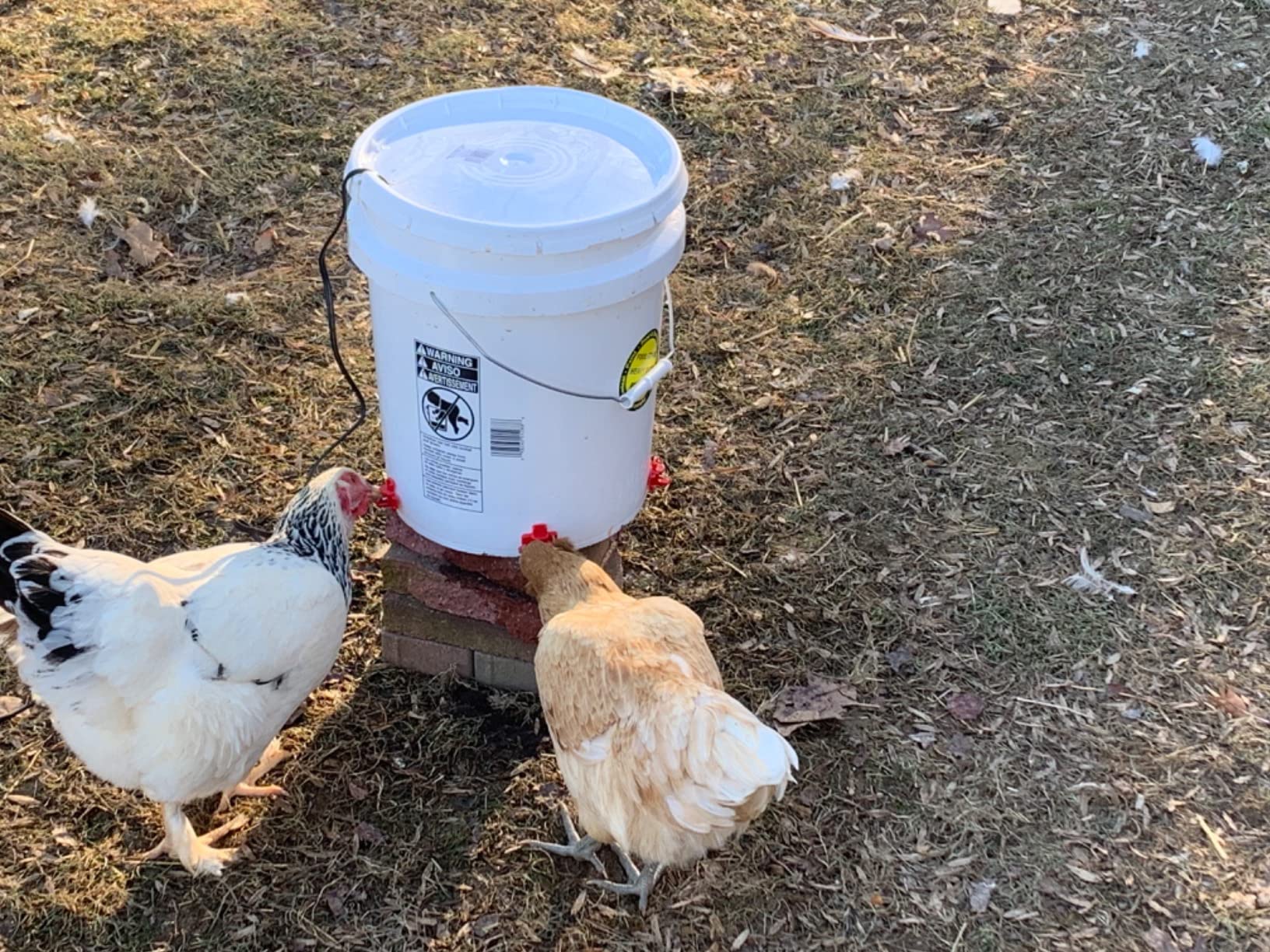 20 Pack Chicken Waterer Nipples for Chicks to Chickens with Drill Bits customer photo 1