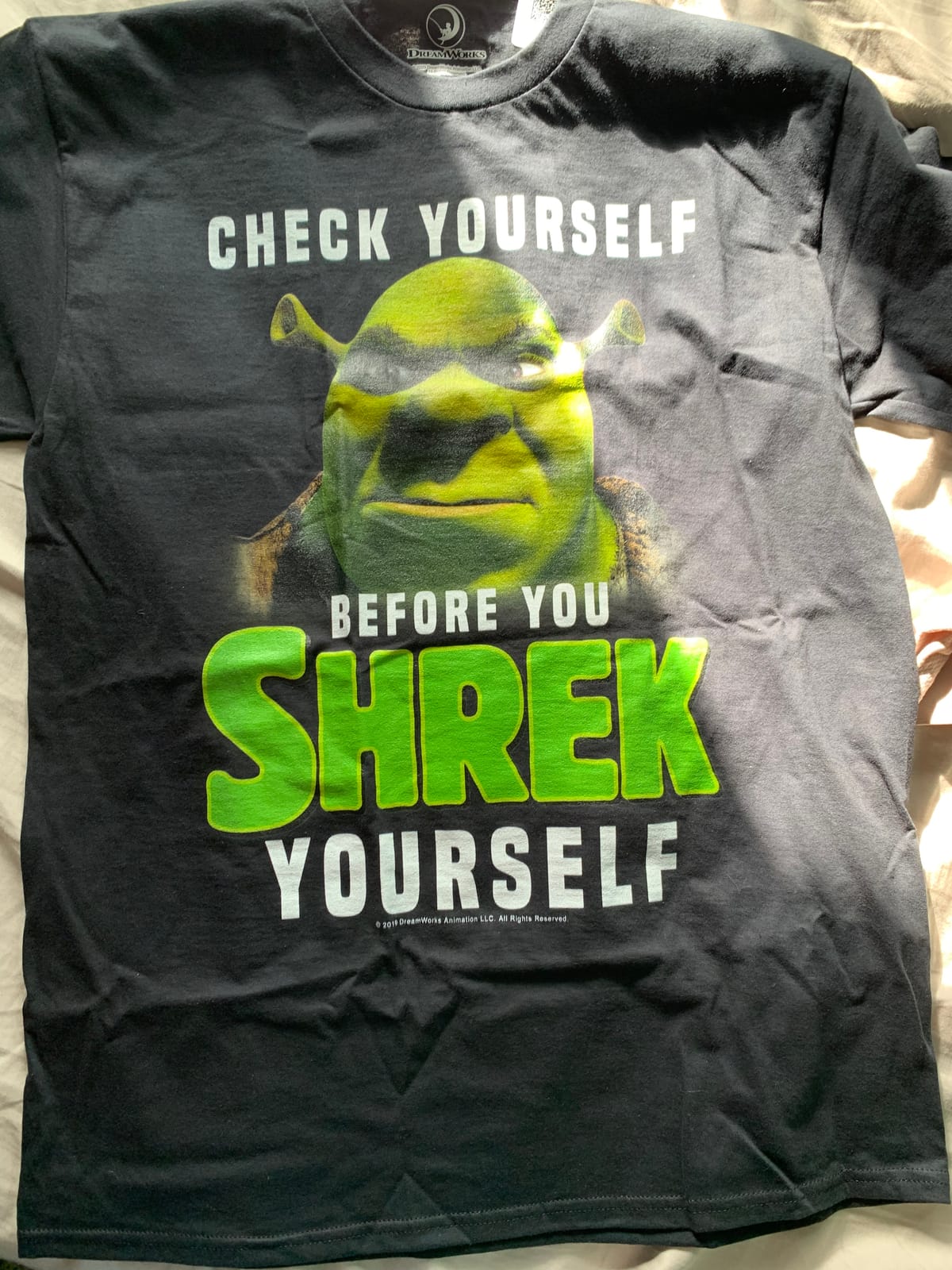 Shrek Check Yourself Before You Shrek Yourself T-Shirt customer photo 2