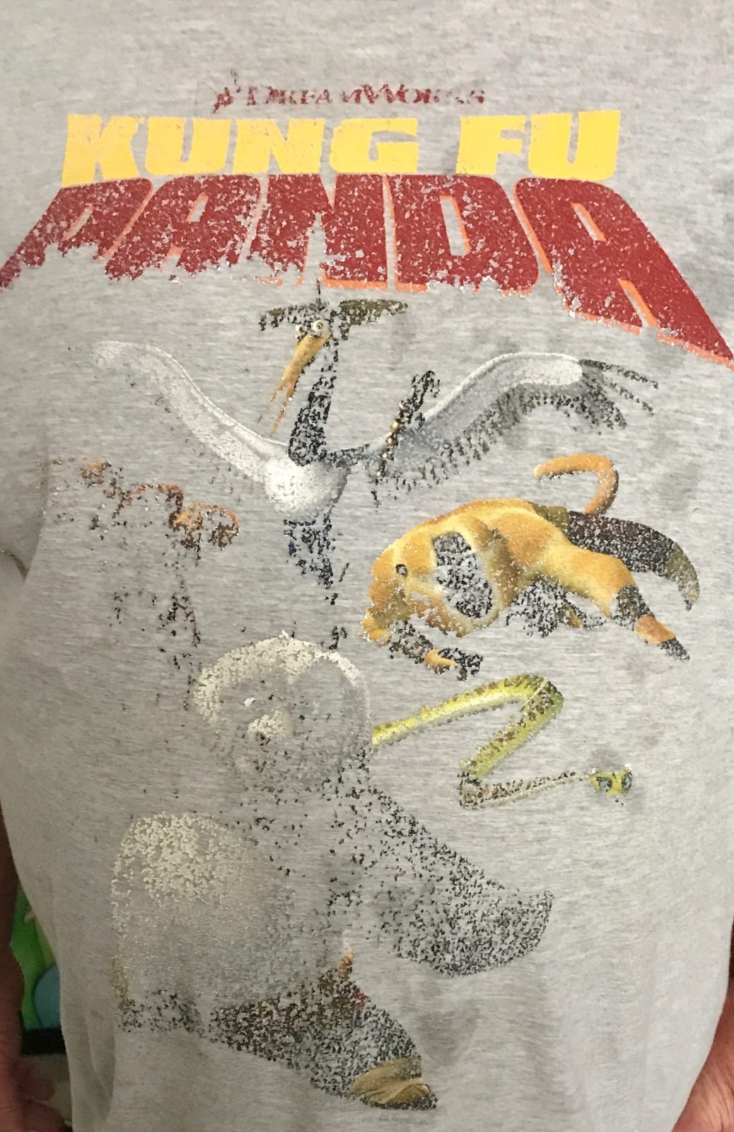 Kung Fu Panda Group Shot Action Portrait Movie Logo T-Shirt Small customer photo 1