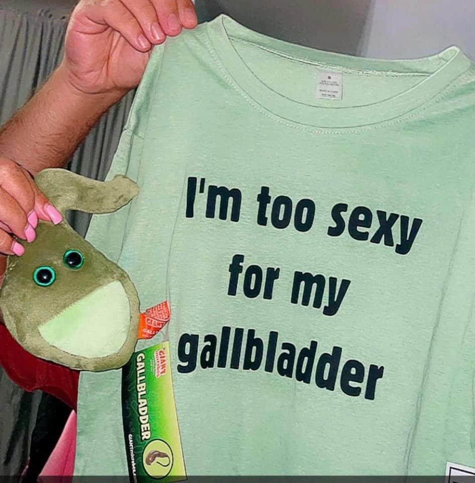 GIANT MICROBES Gallbladder Plush, Anatomy Gifts, Medical Student Gifts | 6.5