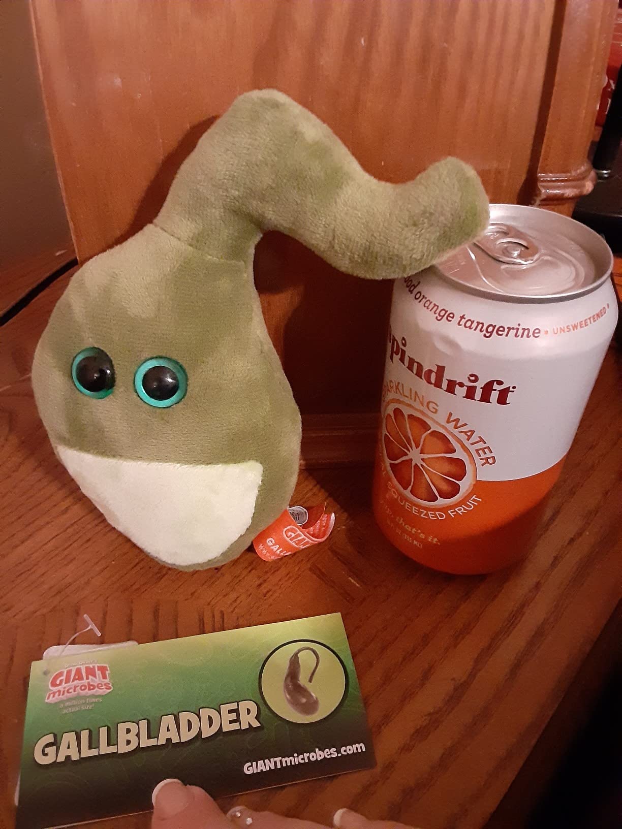 GIANT MICROBES Gallbladder Plush, Anatomy Gifts, Medical Student Gifts | 6.5