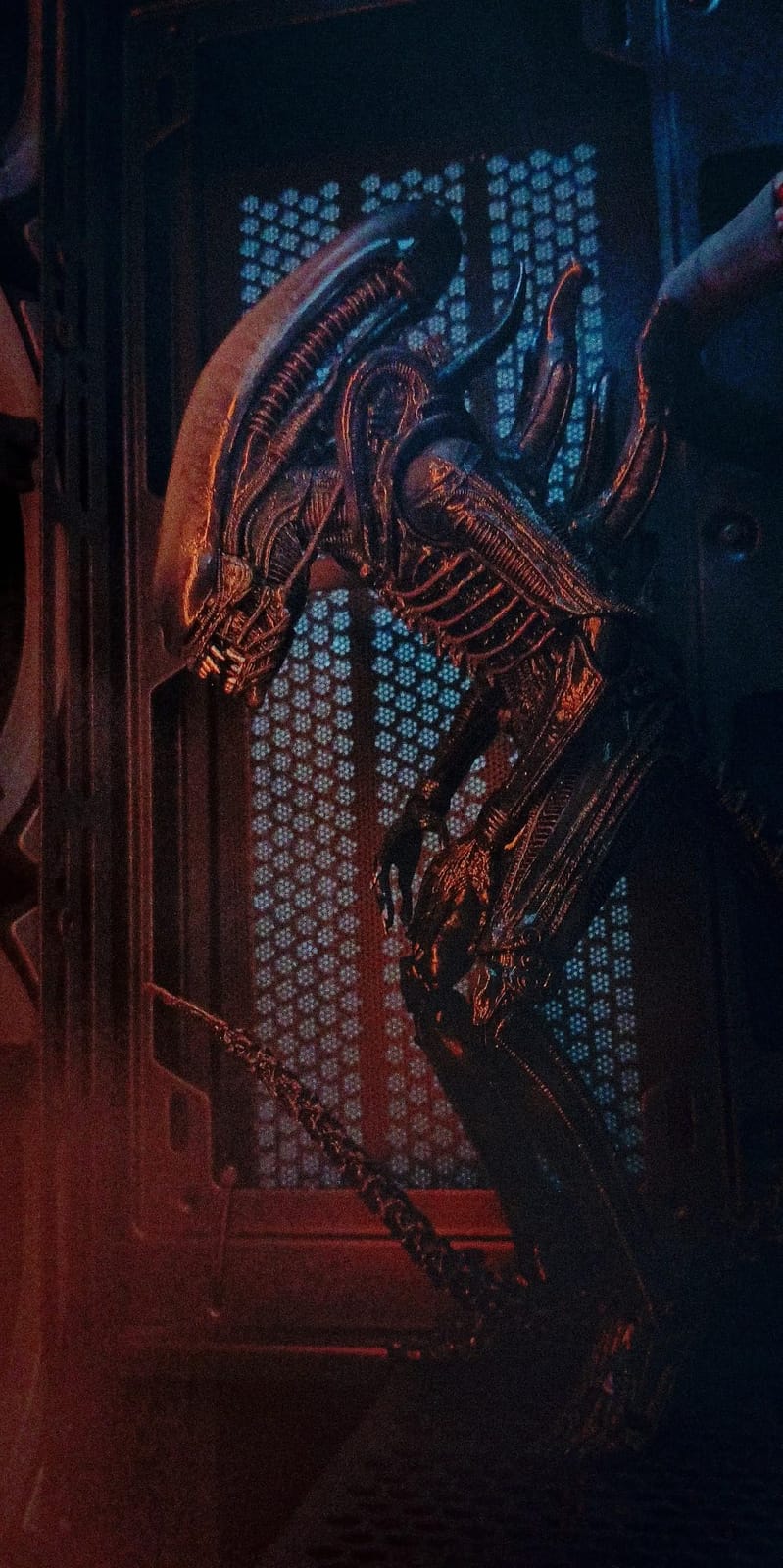 NECA Alien - 7