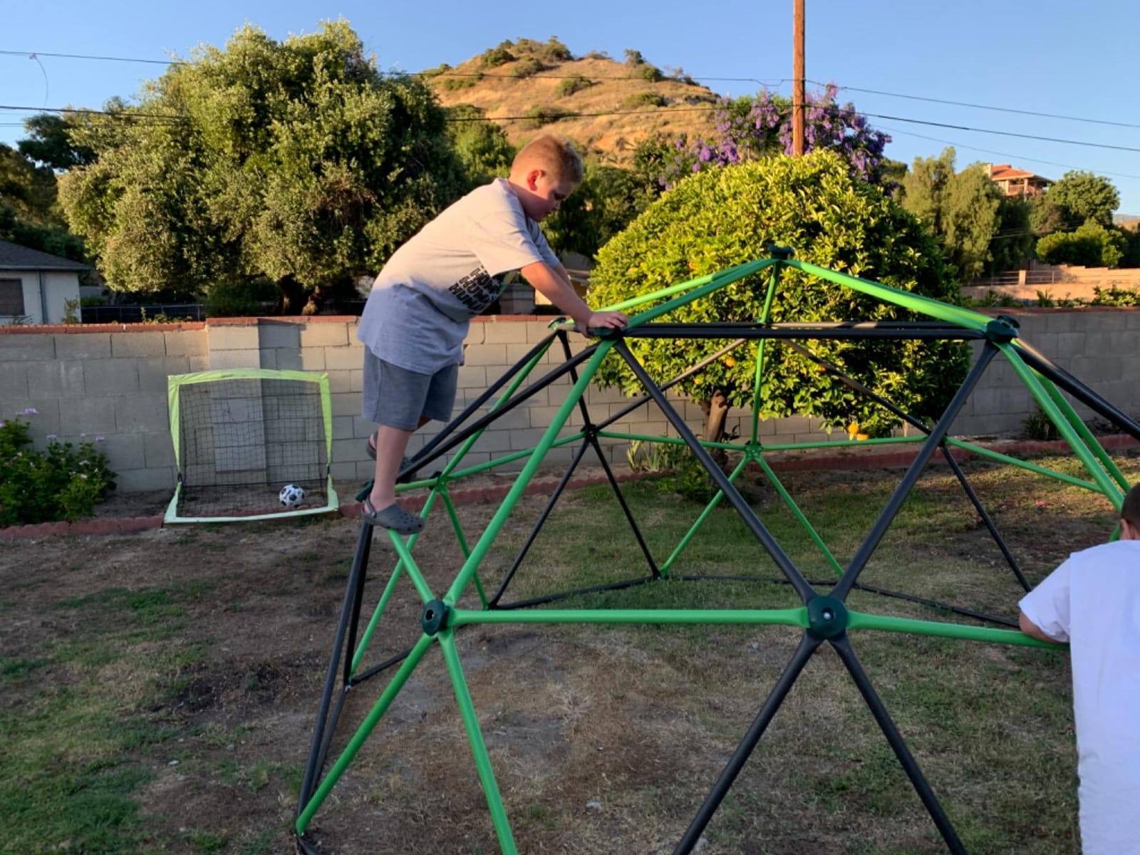 Lifetime 90951 Geometric Dome Climber Jungle Gym, 5.5' High x 11' Wide, Mantis Green & Bronze, 66-Inch customer photo 1
