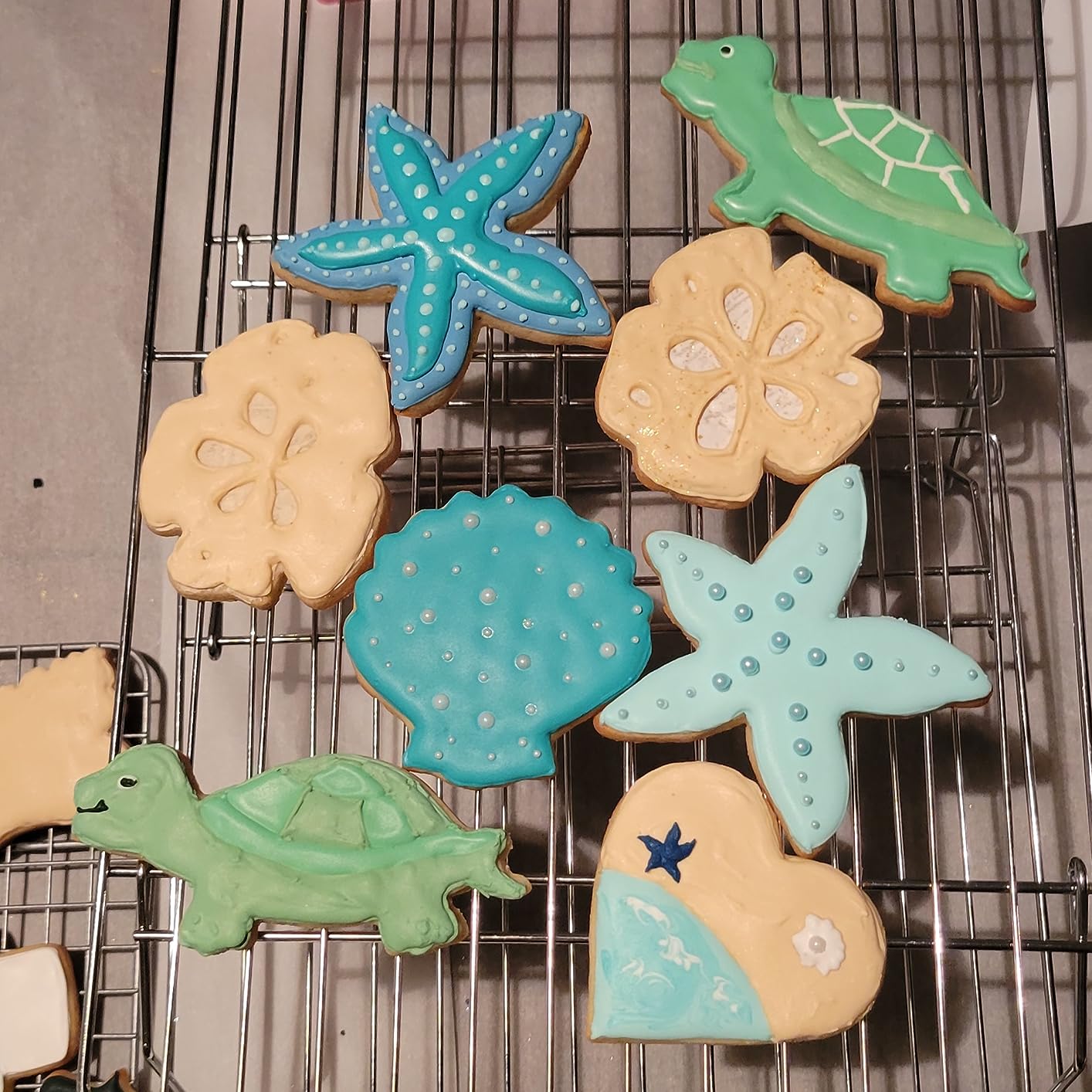 4 PC Summer Beach Seashell Cookie Cutter Set for Treats & Cookies customer photo 2