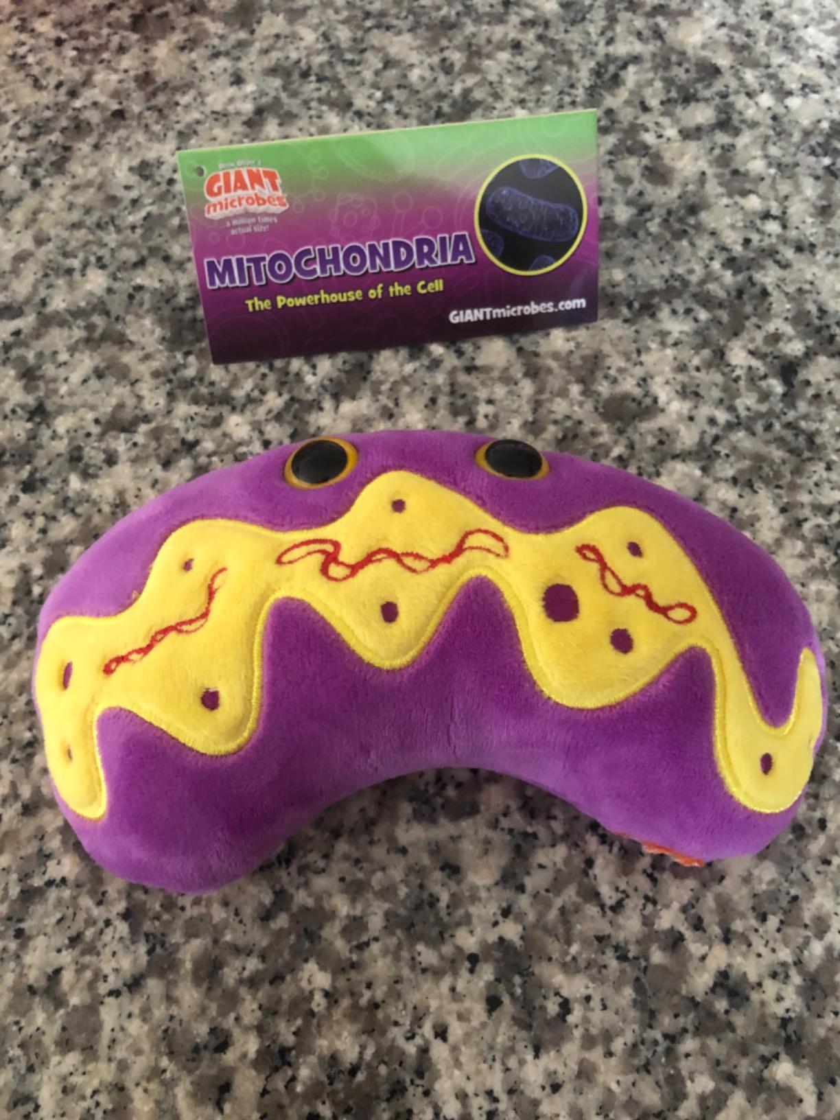GIANT MICROBES Mitochondria Plush, Genetics Gift, DNA Gift, Genealogy Gifts, Funny Science Teacher Gifts, Biology Model, Science Classroom Decor customer photo 1