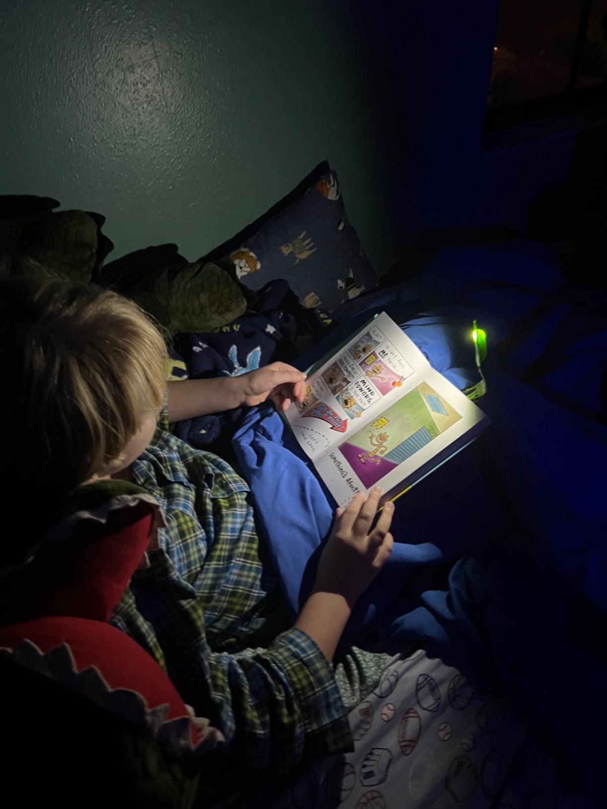 Gifts for Readers & Writers Book Light for Kids, Clip On Reading Light for Bed, 2in1 Flexilight Pals & Bookmark, Small & Lightweight with a Soft Glow, 2 Batteries Included, Owl customer photo 2