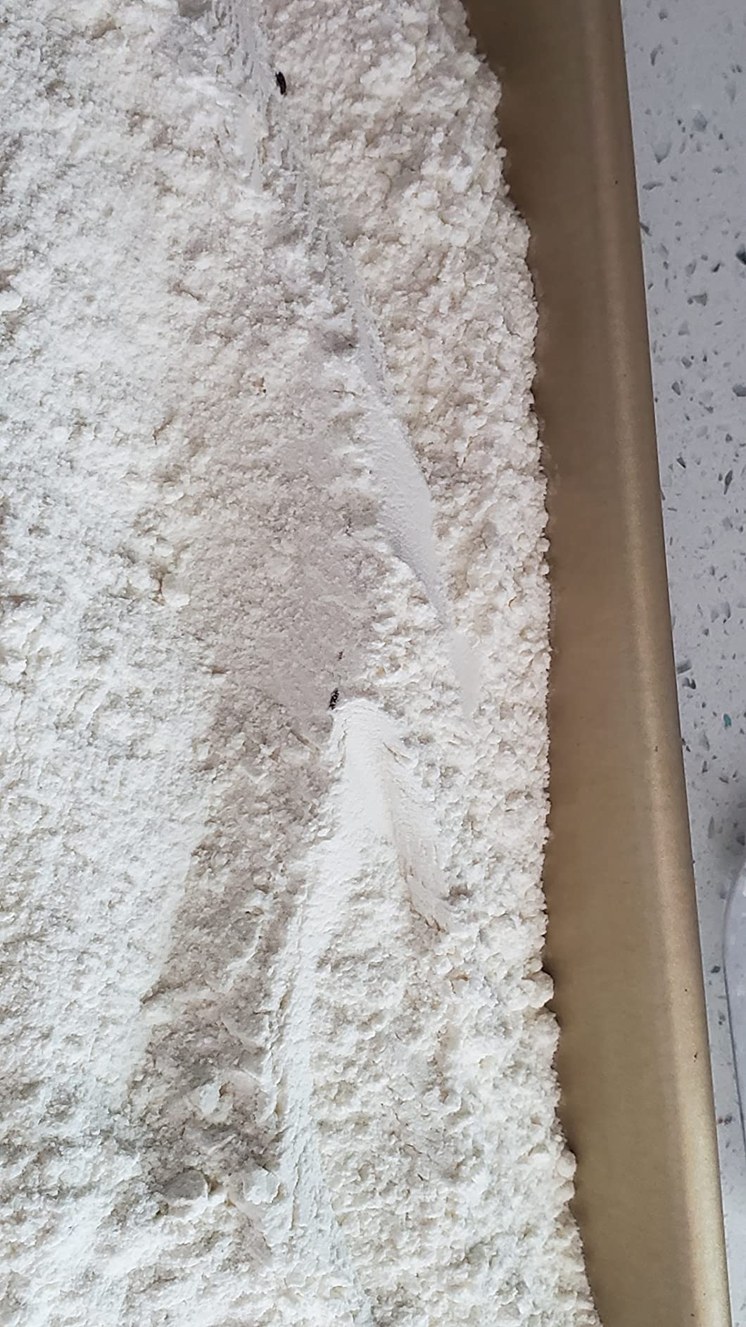 00 Antimo Caputo Pasta & Gnocchi Flour 2.2 Lb Bag - Italian Double Zero Grain Type - Extracted Wheat Blend - All Natural for Pasta Fresca Dough customer photo 2