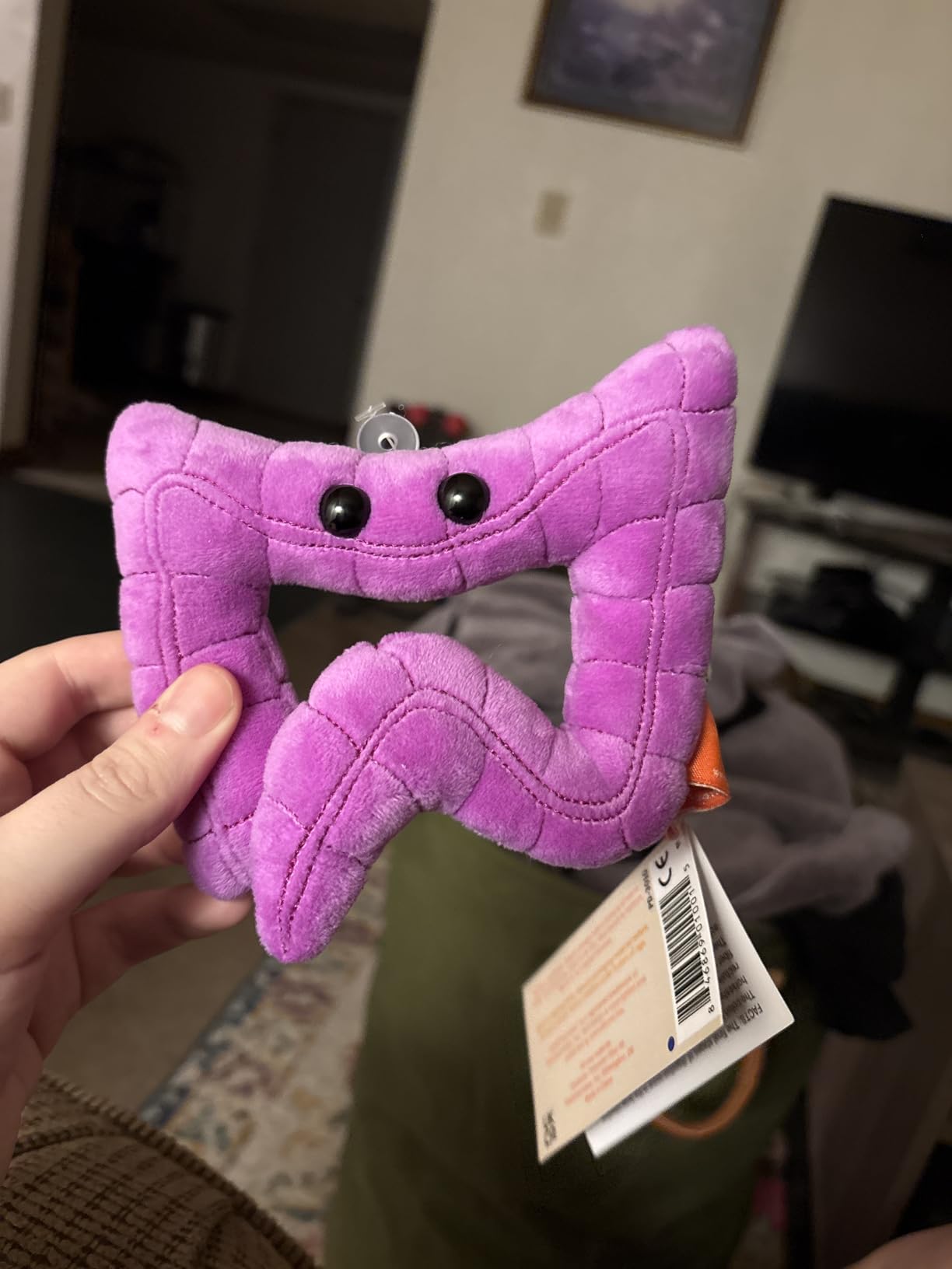GIANT MICROBES Colon Plush, Gastroenterology Gifts, Organ Plushies | 5