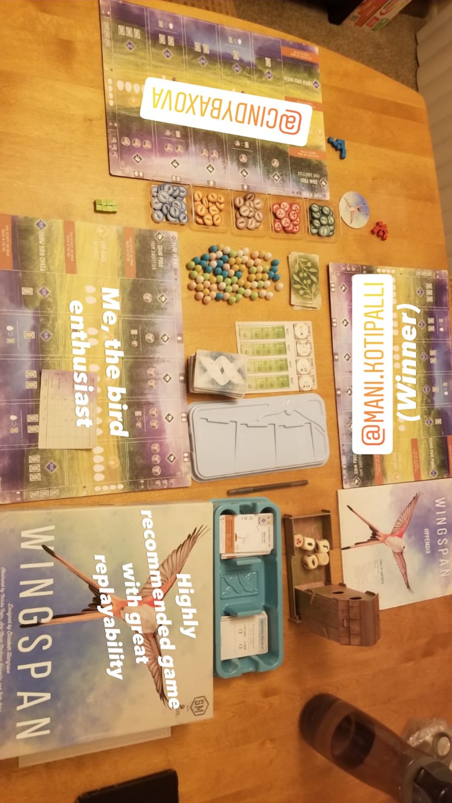 Stonemaier Games: Wingspan by Elizabeth Hargrave customer photo 1