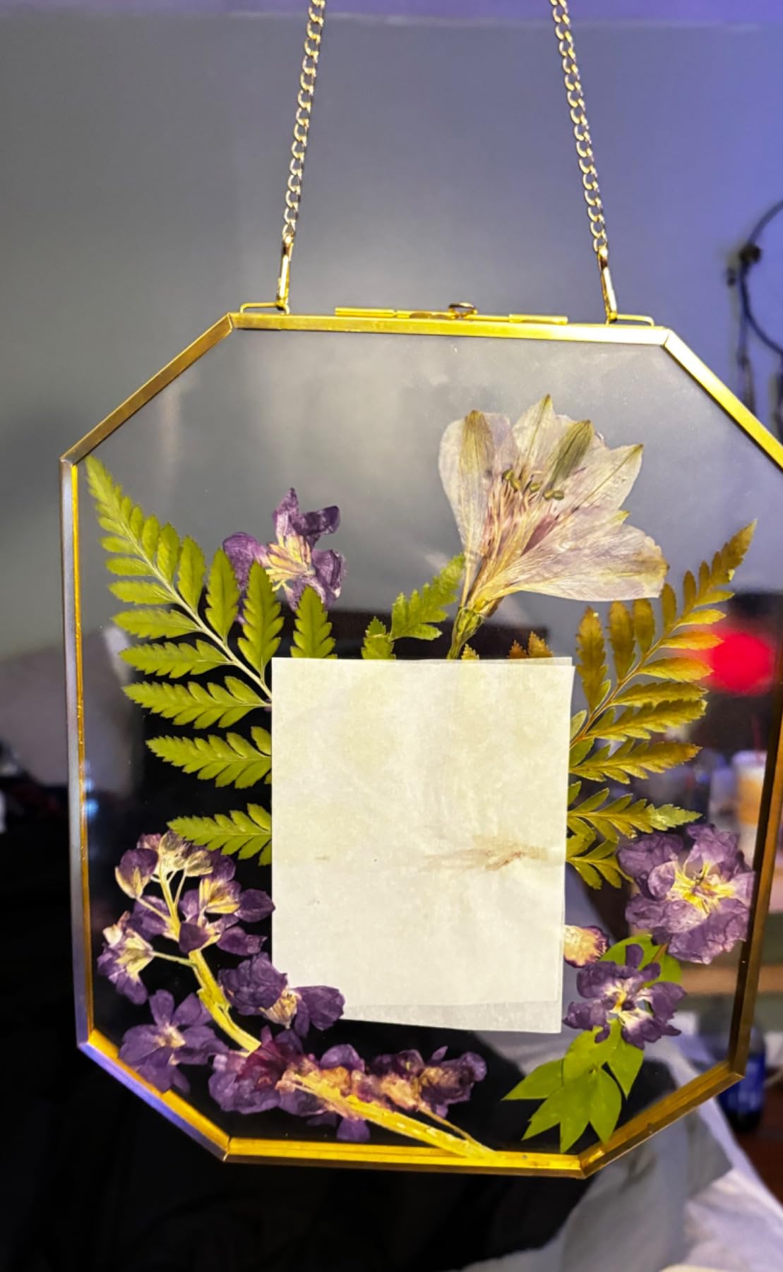 NCYP Double Glass Floating Frame for Pressed Dried Flowers, Plant Specimen, Photo, Poster - Wall Hanging Decor, Octagon 8x10 Inches, Gold Clear (Glass Frame Only) customer photo 2