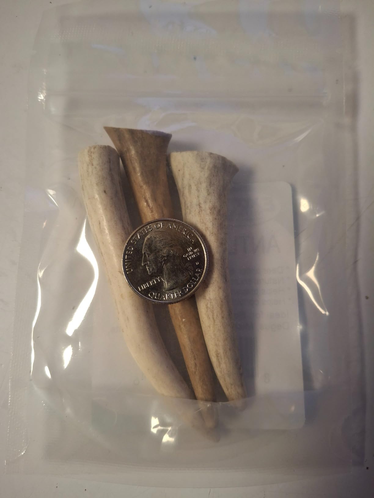 Exotic Nutrition Antler Chews - Safe Small Animal Chew - Natural Source of Healthy Minerals - Chinchilla, Hamster, Degu, Prairie Dog, Squirrel and Other Chewing Pets customer photo 2