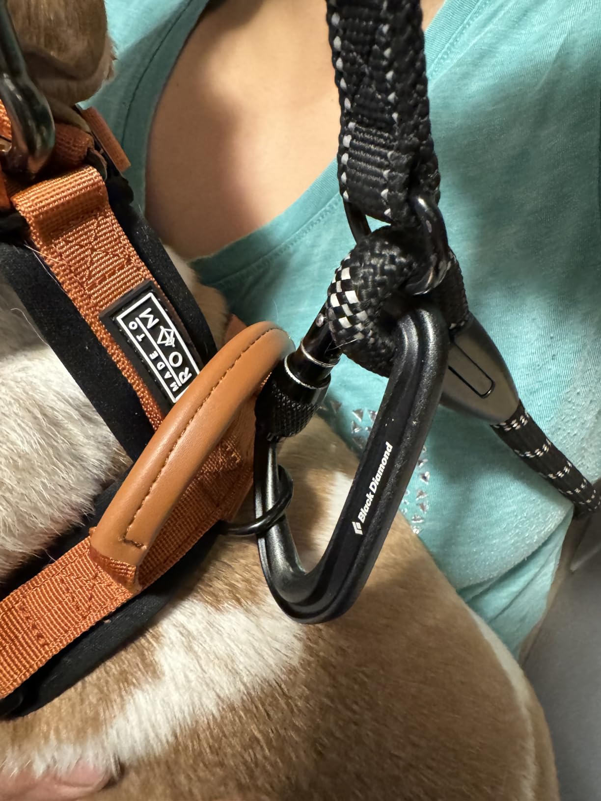 BLACK DIAMOND Hotforge Lightweight Aluminum Lockin Screwgate Carabiner customer photo 2