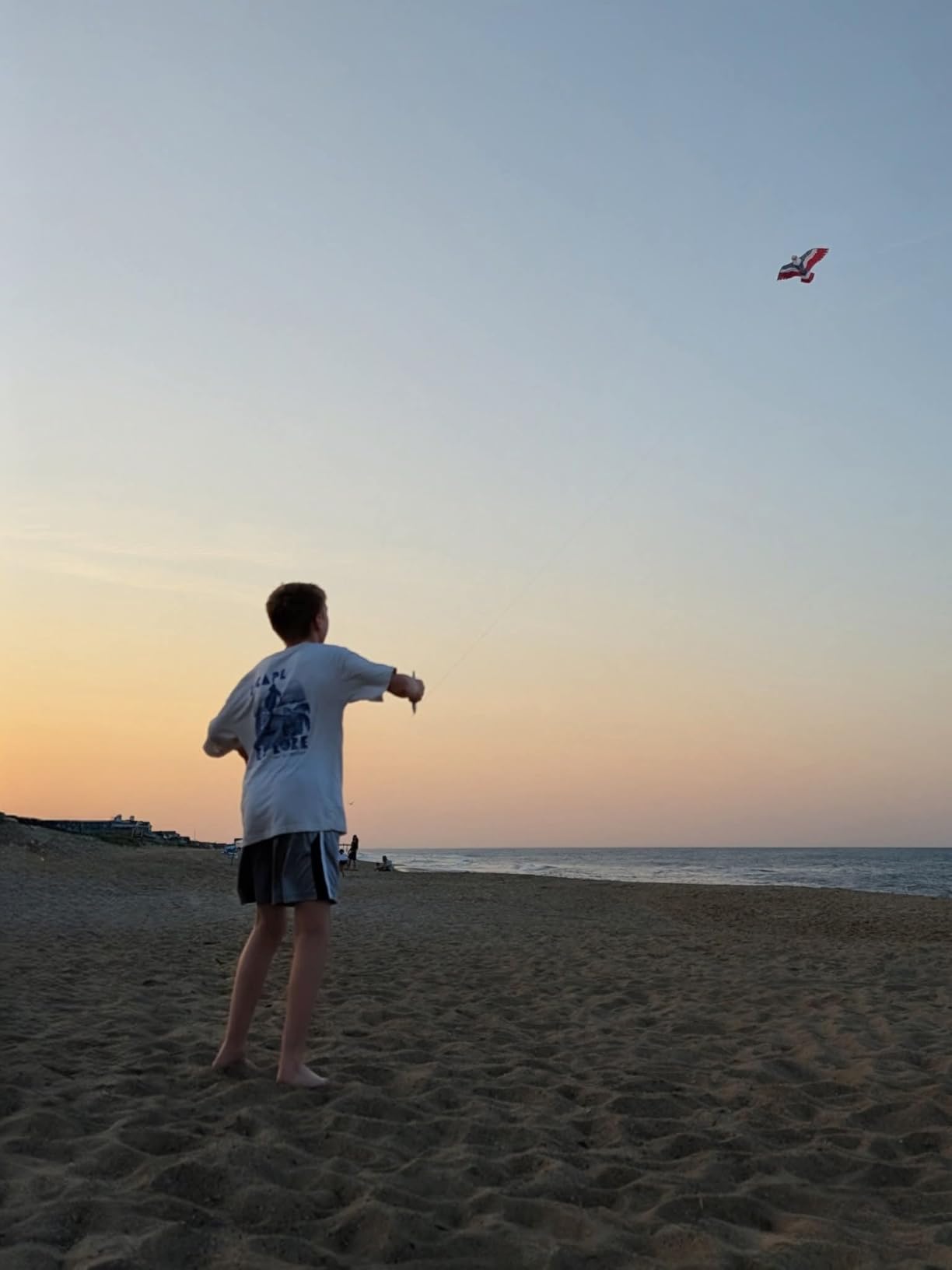 HONBO Huge Patriotic Eagle Kites for Adults and Kids,Easy to Fly for Beach Trip, Outdoor Activities-Wingspan 73”-200ft Line with Swivel-Bonus Durable Polyester Bag customer photo 1
