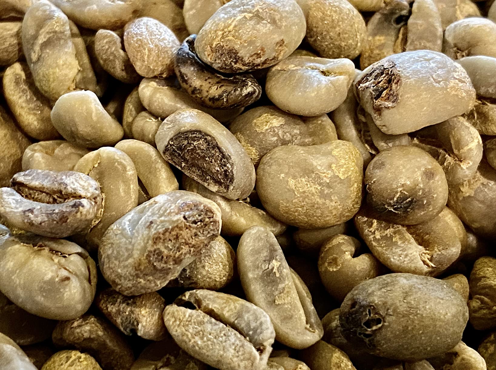 Guatemala Premium Green Unroasted Raw Specialty Coffee Beans Farm Direct Sale, 5 Lbs -Fresh 2025 Crops- customer photo 2