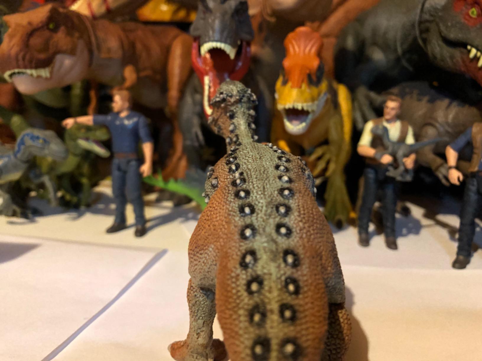 Safari Ltd. Pachycephalosaurus Toy - 8 Inch Dinosaur Figure for Kids customer photo 1