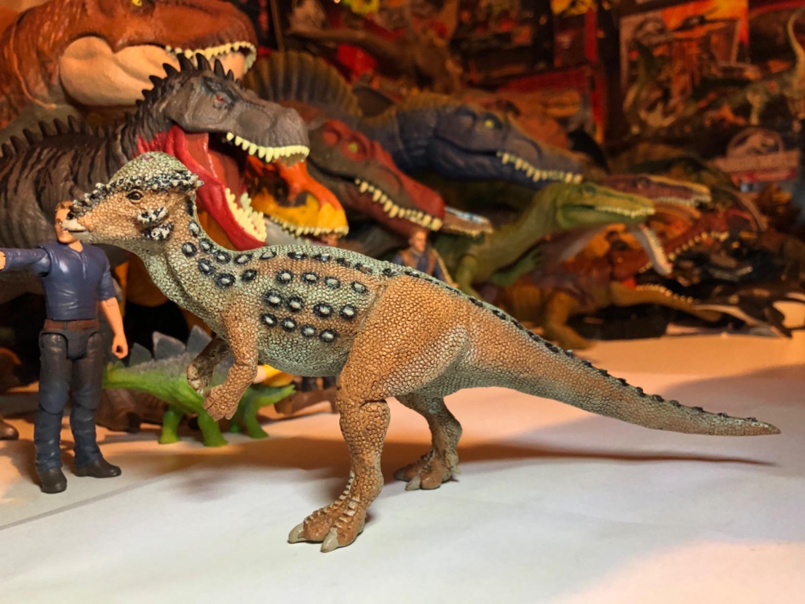 Safari Ltd. Pachycephalosaurus Toy - 8 Inch Dinosaur Figure for Kids customer photo 2