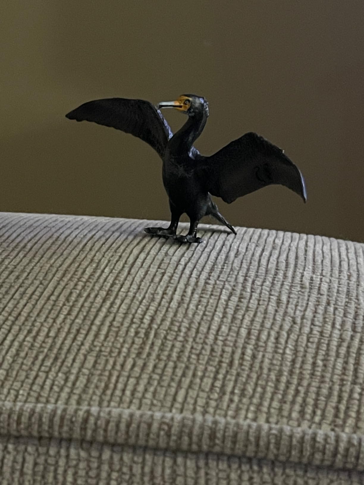 Papo - Realistic Cormorant Figure Toy for Kids - Ages 3+ - Marine Life Collection - Educational Play Water Birds - Gift Idea Toy for Girls and Boys - 4.1 In X 2.0 In X 2.0 In customer photo 1