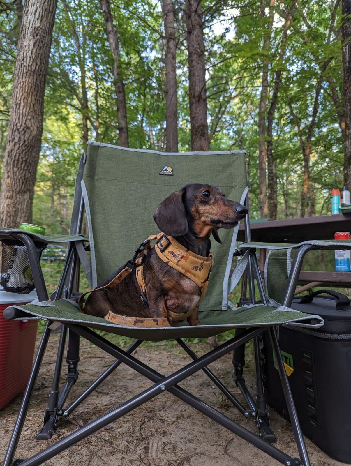 GCI Outdoor Kickback Rocker Camping Chair | Portable Folding Rocking Chair with Durable Armrests, Drink Holder & Relaxed Lowered Seat for Comfort - Loden Green customer photo 1