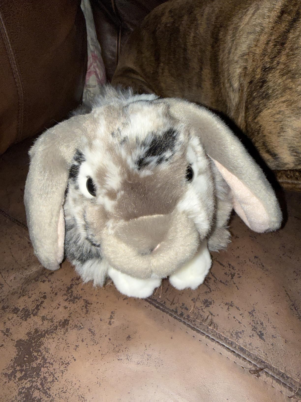 Living Nature Grey Dutch Lop Eared Rabbit Stuffed Animal | Fluffy Rabbit Animal | Soft Toy Gift for Kids | 10 inches customer photo 2