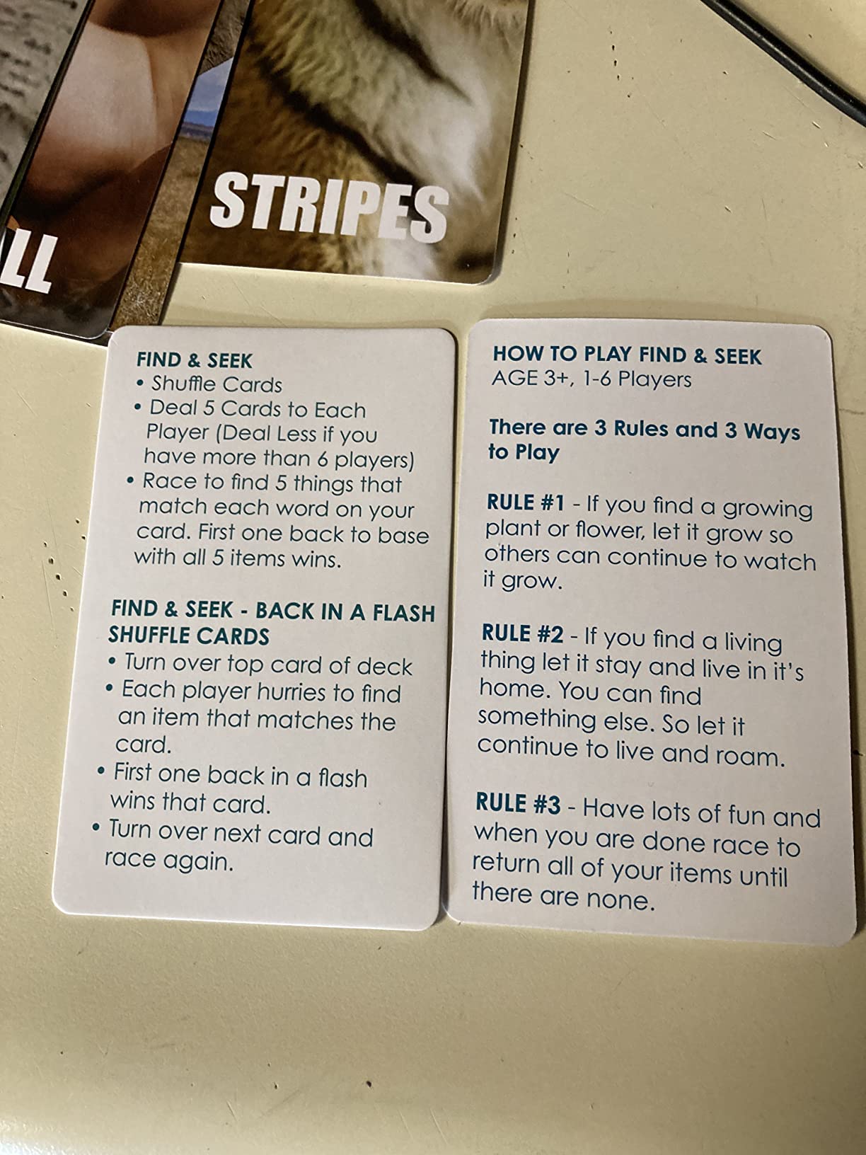 Hapinest Find and Seek Scavenger Hunt Card Game, Indoor Outdoor Activities for Kids & Family, Beach Camping Travel Car Games for Road Trips, Kids Scavenger Hunt Game Age 3 4 5 6 Years Old & Up customer photo 1