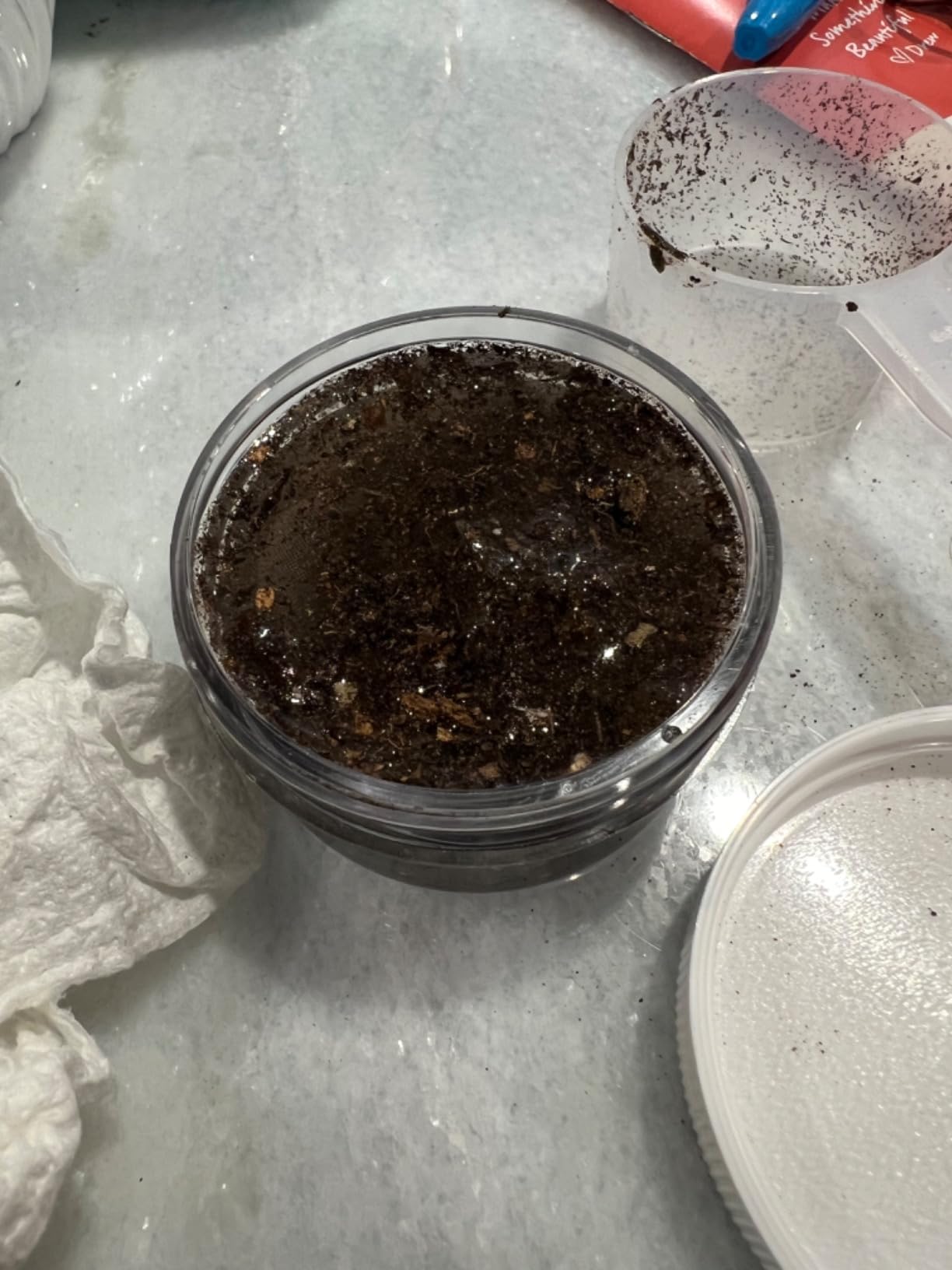 MySoil Soil Test Kit, Unlock Your Lawn & Garden Potential, Complete & Accurate Nutrient and pH Analysis with Recommendations Tailored to Your Soil and Plant Needs customer photo 1