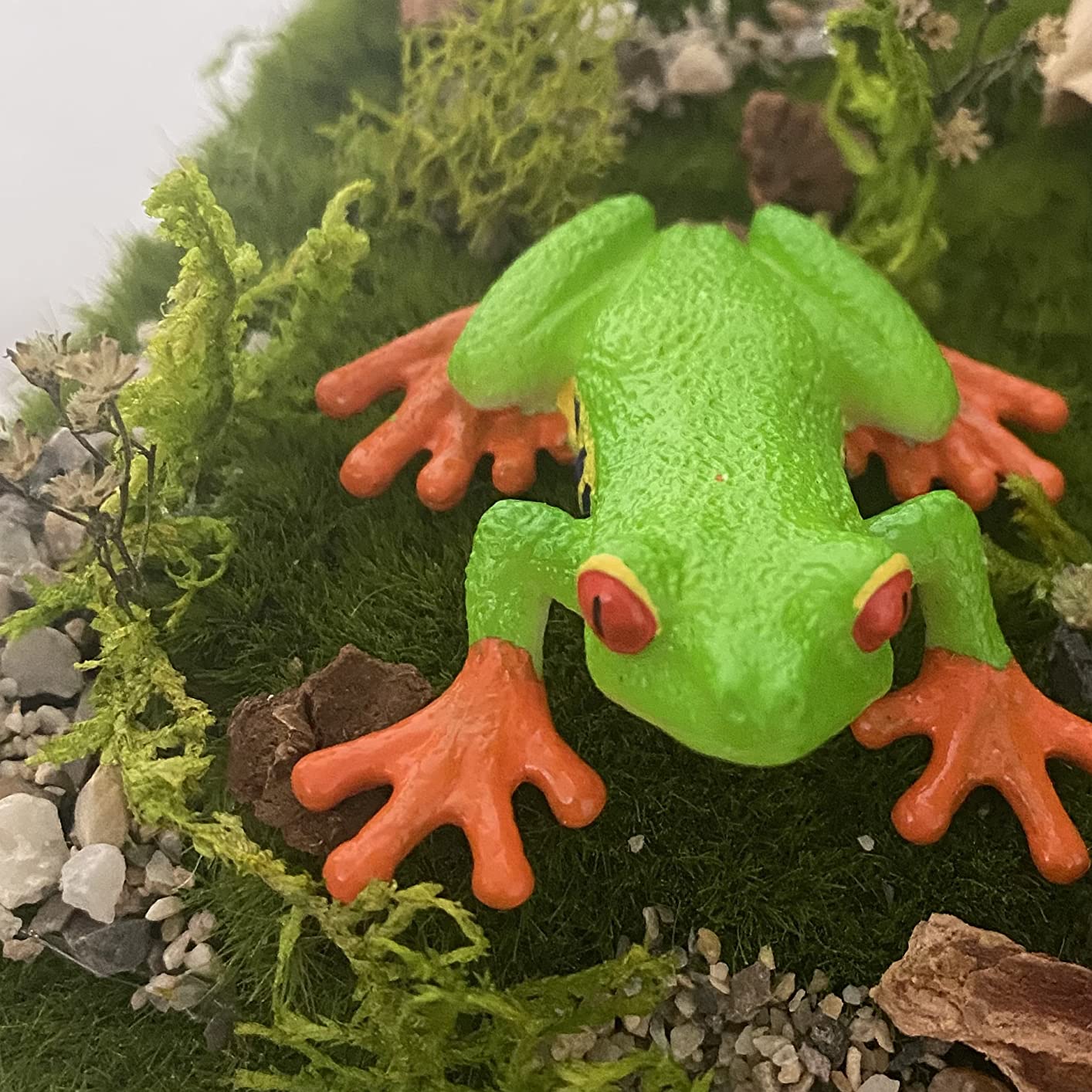 MOJO - Red Eyed Tree Frog | Hand-Painted Toy Figure | Wildlife Collection | True to Life & Highly Detailed | Designed in UK customer photo 1