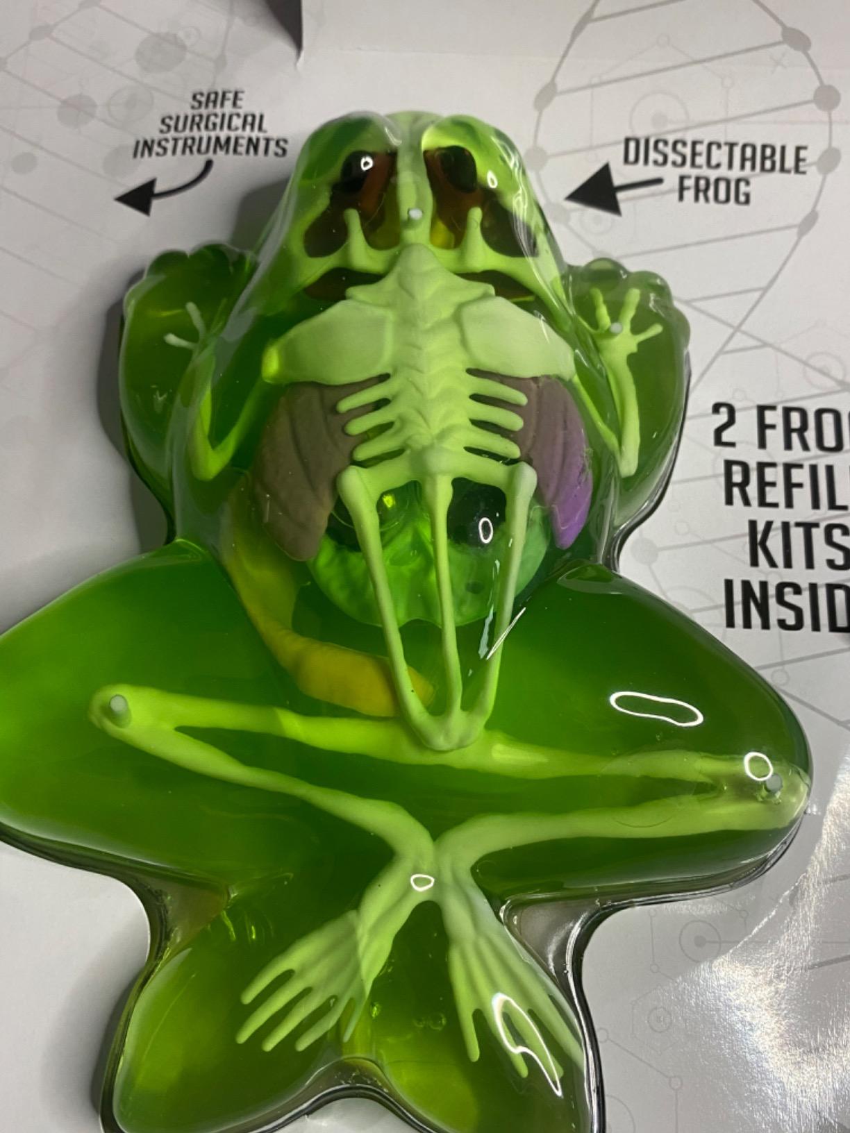 Dissect-It, Standard Frog Dissection Kit, STEM Toys for Kids, Ages 6+ customer photo 1