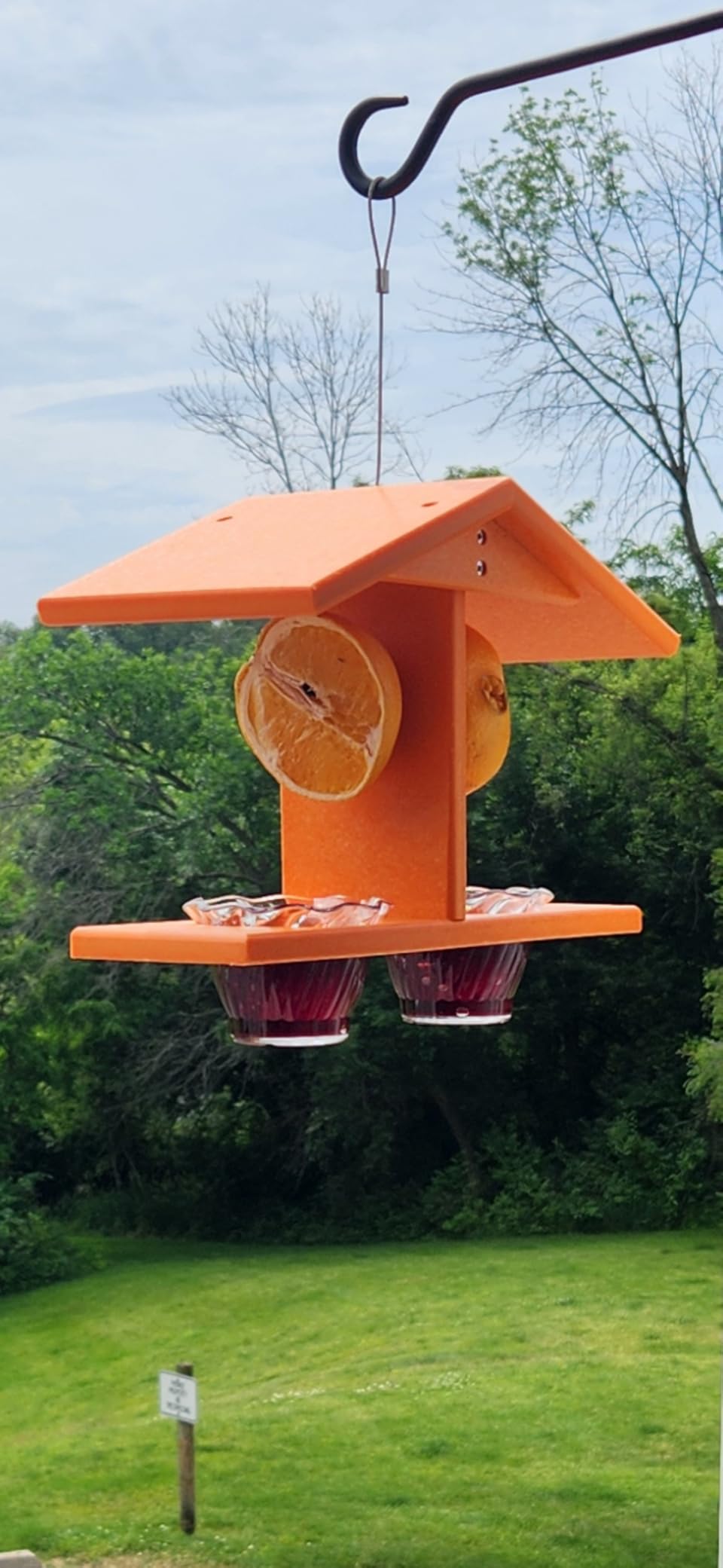 Oriole Bird Feeder, Double-Cup Jelly Oriole Feeder with Pegs for Orange Halves (Orange) customer photo 2