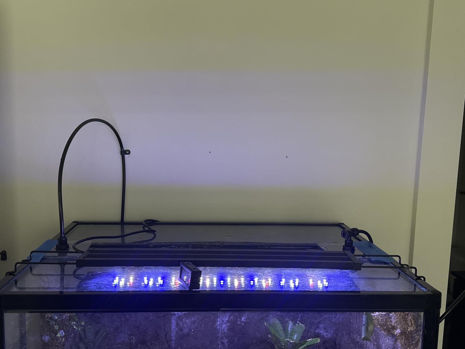 MistKing – Starter Misting System, 5th Gen | Used by Zoos, Botanical Gardens, Institutions & Hobbyists | Expandable to 10 Nozzles | Extremely Fine Mist | 50 Micron Droplets | MKSMS5-125-50 | Used by Zoos, Botanical Gardens, Institutions & Hobbyists, Expandable to 10 Nozzles, Extremely Fine Mist, 50 Micron Droplets customer photo 1