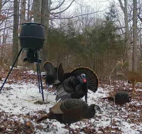 American Hunter 30-Gallon Nesting Hopper Gravity Deer Feeder – Maintenance-Free Tripod Game Feeder customer photo 2