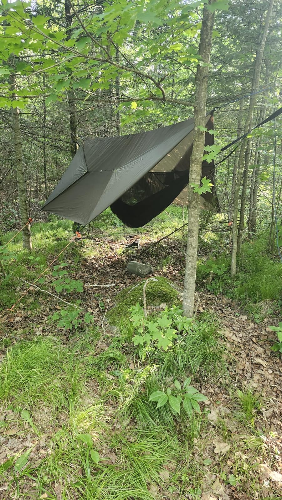 onewind 11ft Camping Double Hammock with Mosquito Net, Ridgeline and Straps | 70D Hexagon Ripstop Nylon, No-see-ums Bugnet, 68'' Single Wide Panel, Portable 2 Person Hammock for Hiking Backpacking customer photo 1