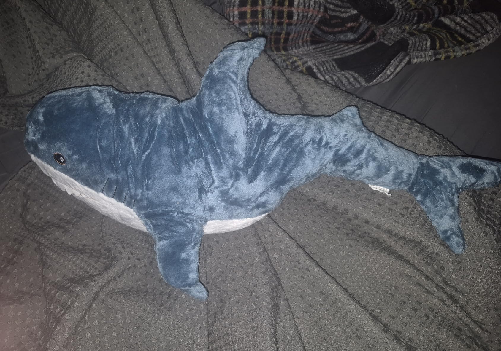 Protuning BLÅHAJ Soft Toy Shark 23in customer photo 2