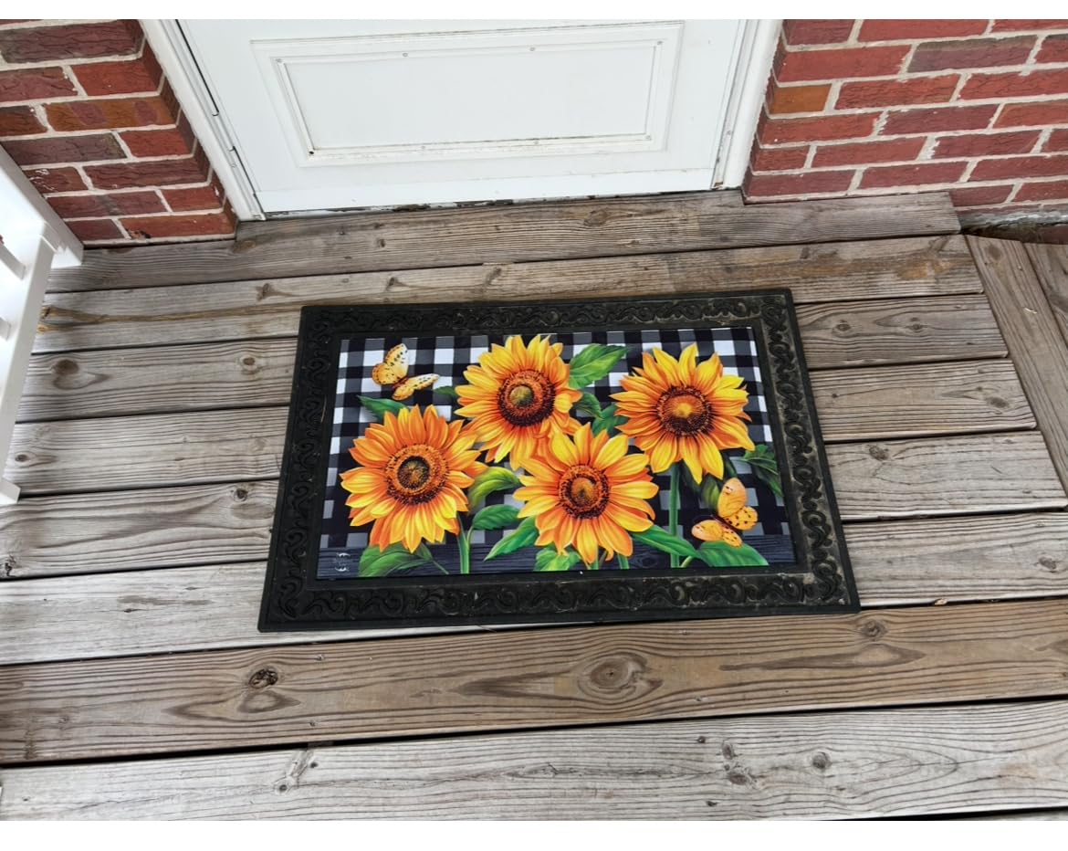 Briarwood Lane Doormat 30x18 Indoor Outdoor Dragonfly Garden Spring for Spring Doormat customer photo 1