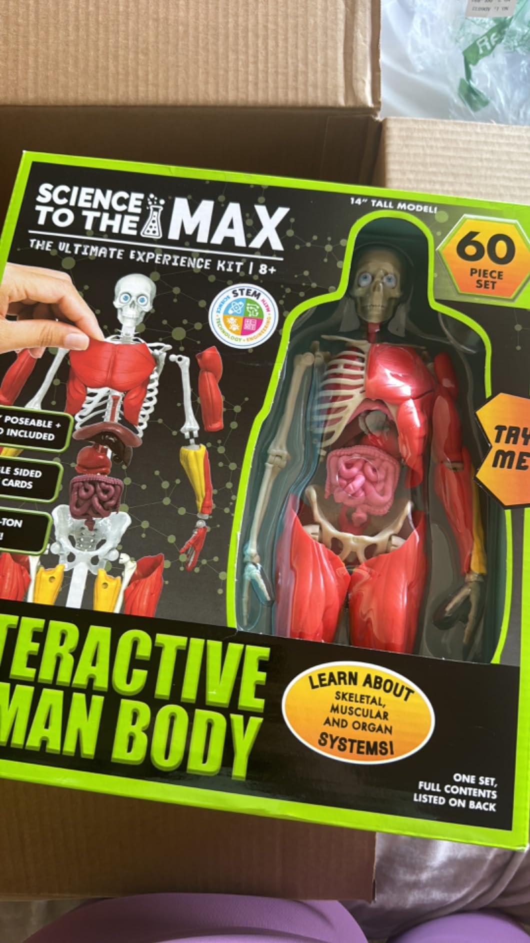 Be Amazing! Toys Interactive Human Body Anatomy Figure, 60 Pieces, Ages 8+ customer photo 1
