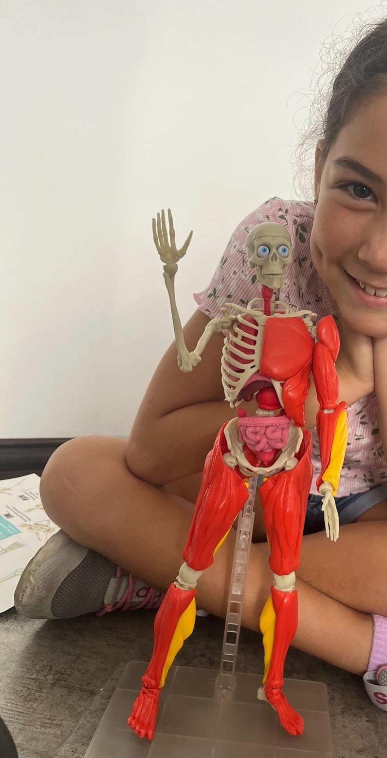 Be Amazing! Toys Interactive Human Body Anatomy Figure, 60 Pieces, Ages 8+ customer photo 2