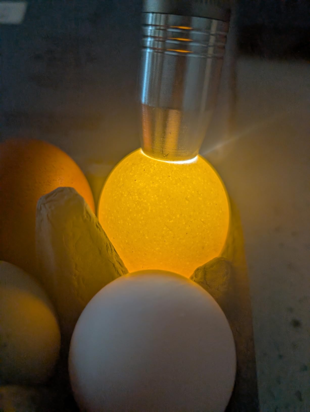 Egg Candler Light Tester Egg Candler Tester Candling Lamp for All Egg Typy customer photo 1