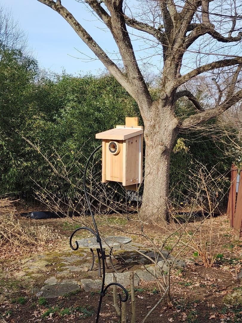 WHITEHORSE Bluebird House - Weatherproof Bird House for Outdoors - Cedar Birdhouse Built to NABS Specs - Nest Box for Bluebirds, Chickadees, Titmice, Wrens, Nuthatches & More (15