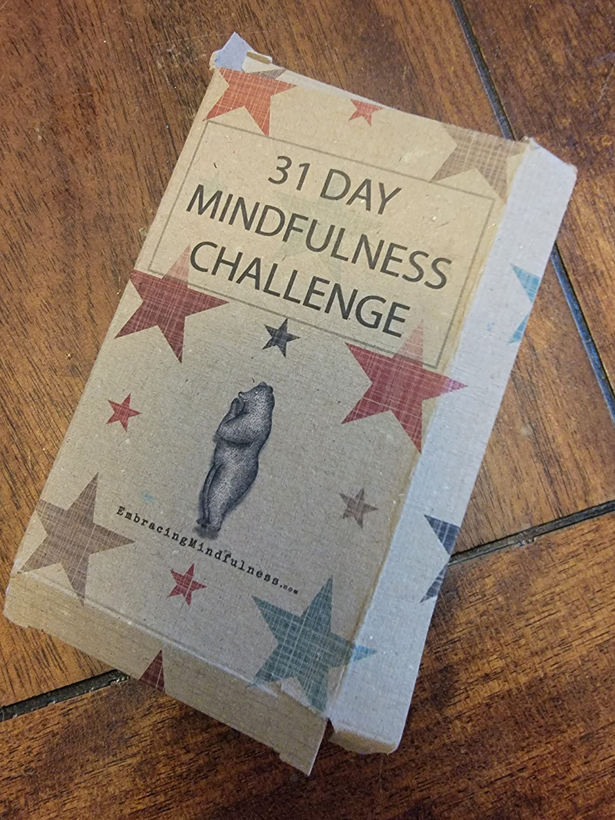 31 Day Mindfulness Challenge Cards - Take One a Day for a Month of Mindfulness customer photo 1