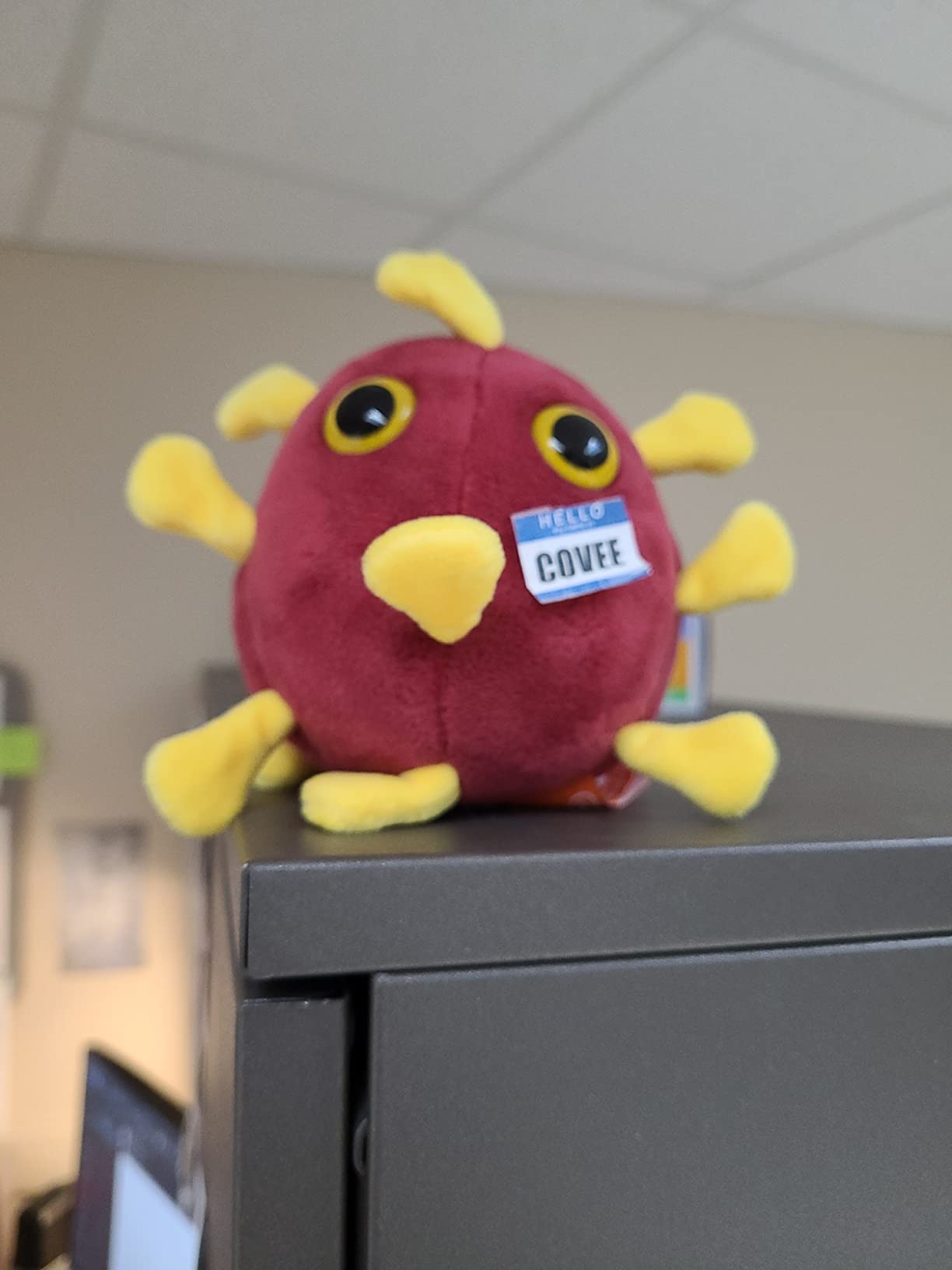 GIANT MICROBES COVID-19 Plush customer photo 1