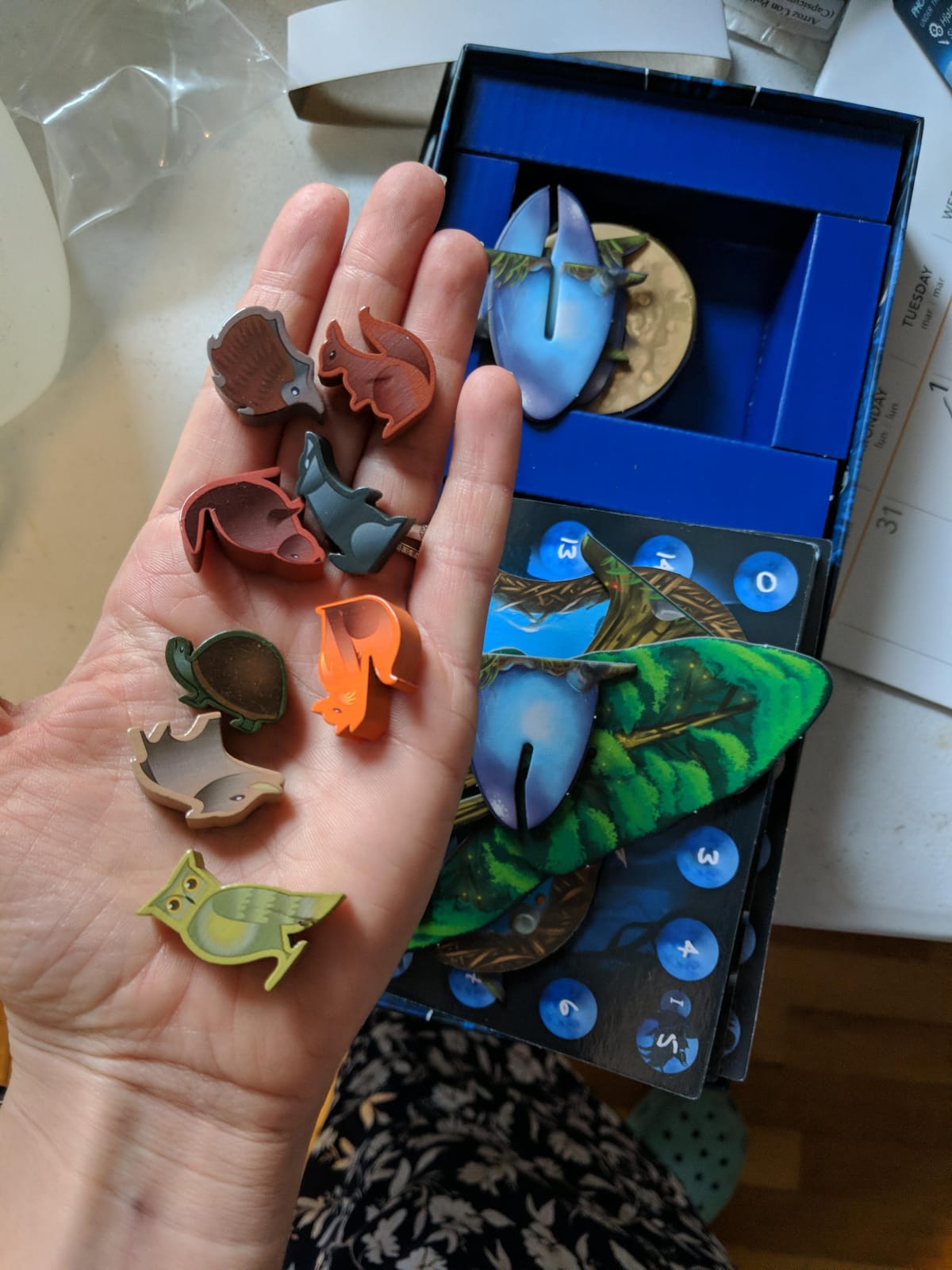 Photosynthesis Under The Moonlight - Expansion to Photosynthesis Original Game- Family or Adult Strategy Board Game for 2 to 4 Players. Recommended for Ages 10 and Up. customer photo 2