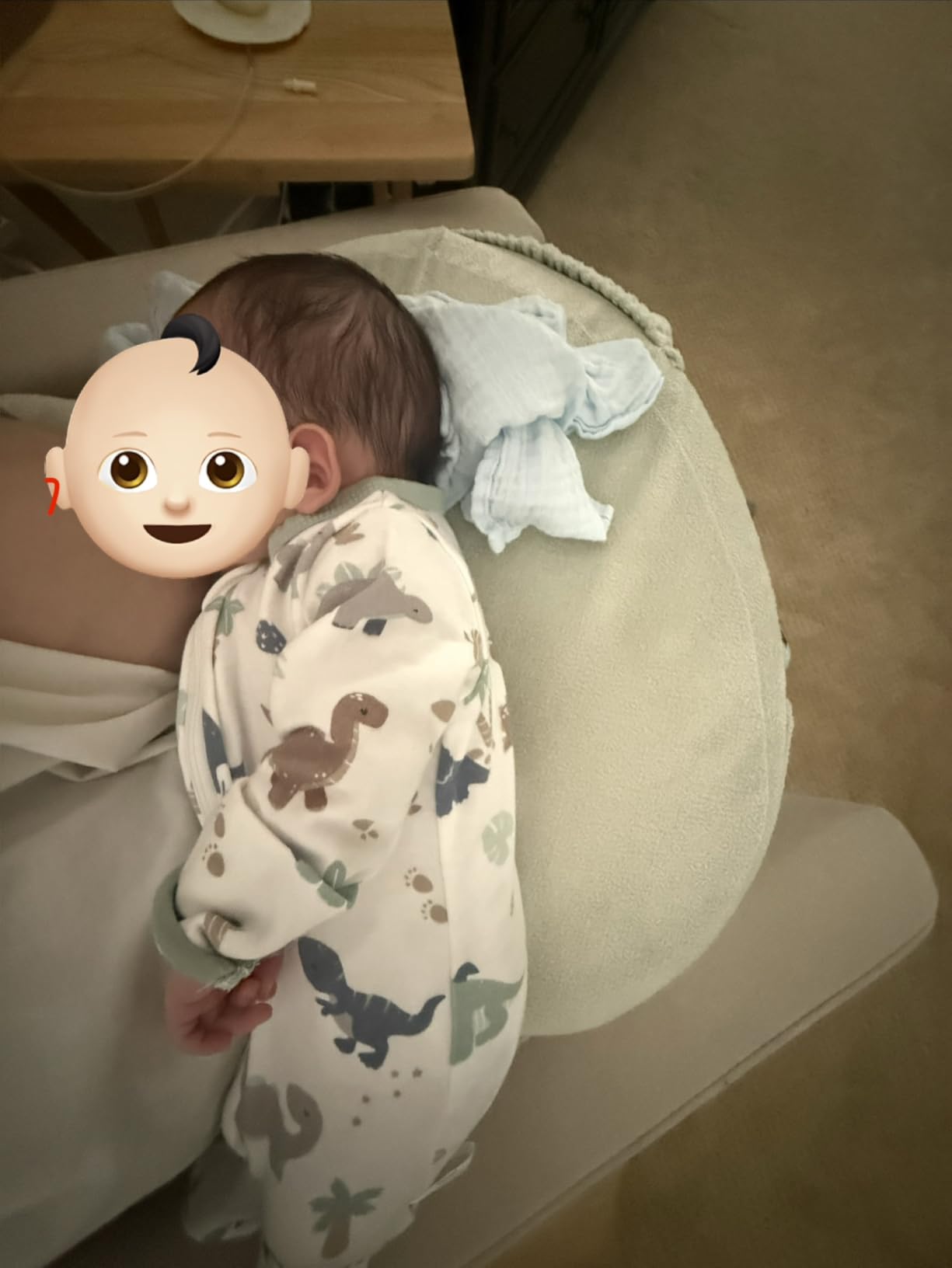My Brest Friend Nursing Pillow - Deluxe - Soft Rose customer photo 1